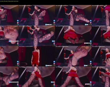 presidenttaylor — 98 minute Chaturbate female cam show recording, 720p, Apr 22, 2024