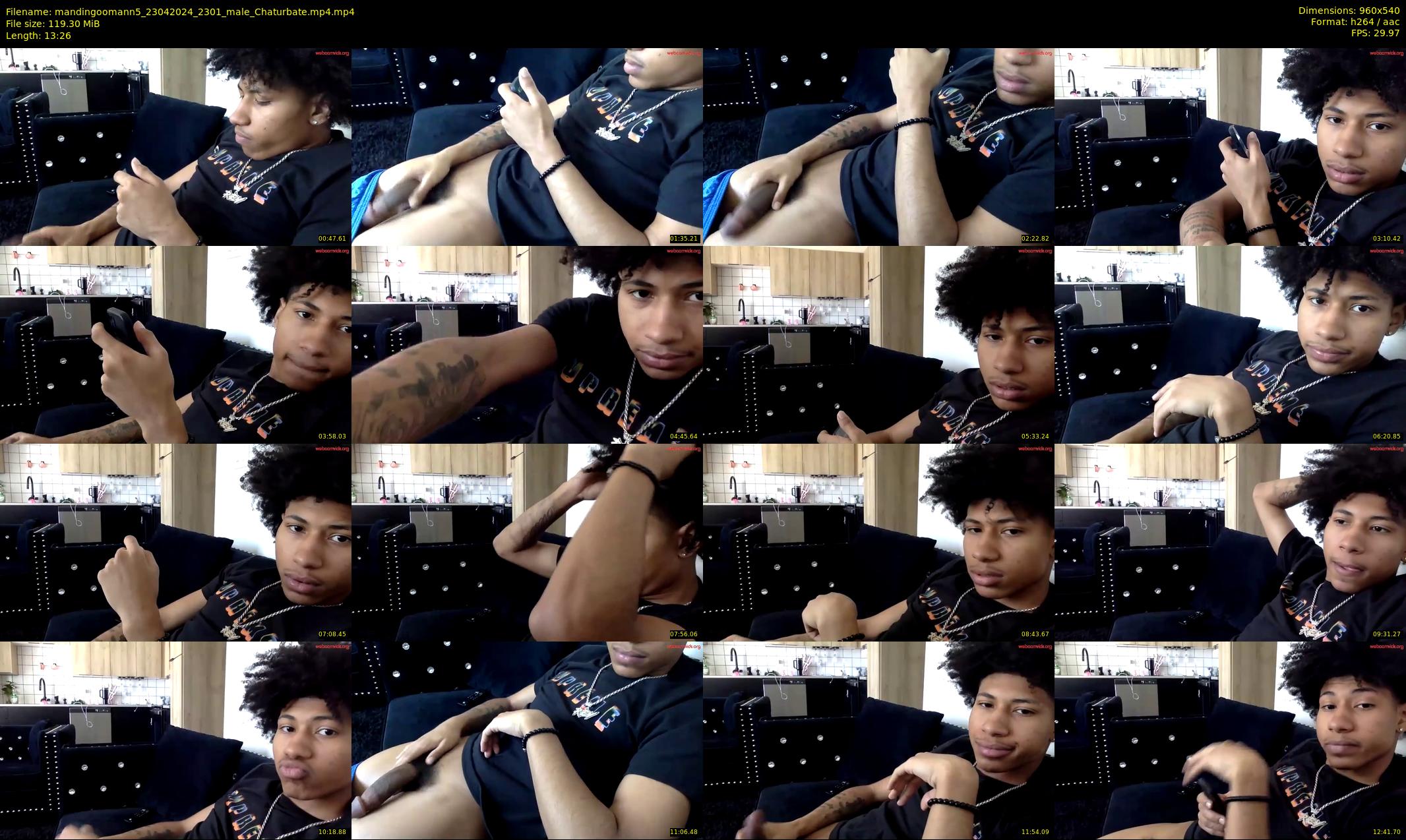 mandingoomann5 — 14 minute Chaturbate male cam show recording, 480p, Apr 23, 2024
