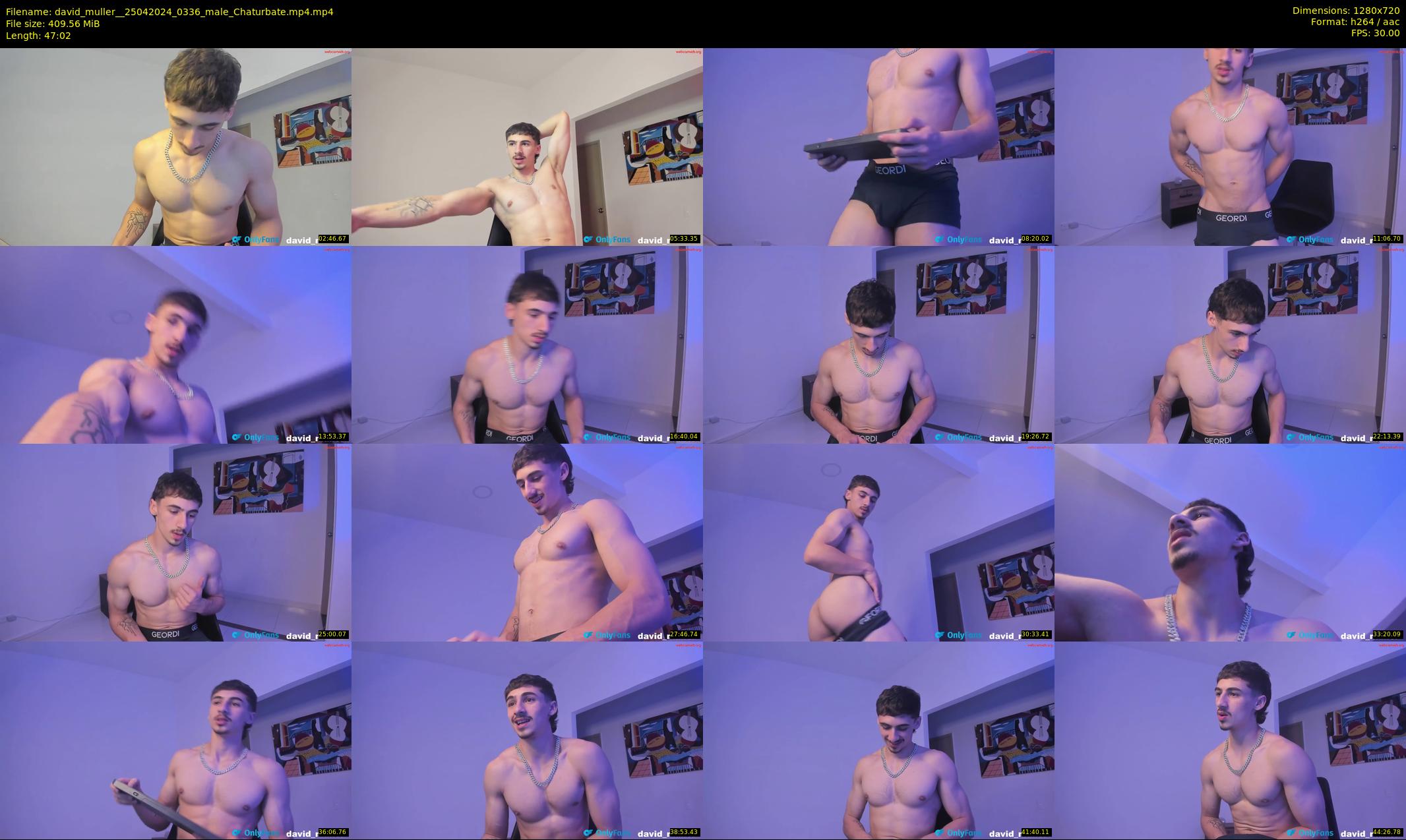 david_muller_ — 48 minute Chaturbate male cam show recording, 720p, Apr 25, 2024