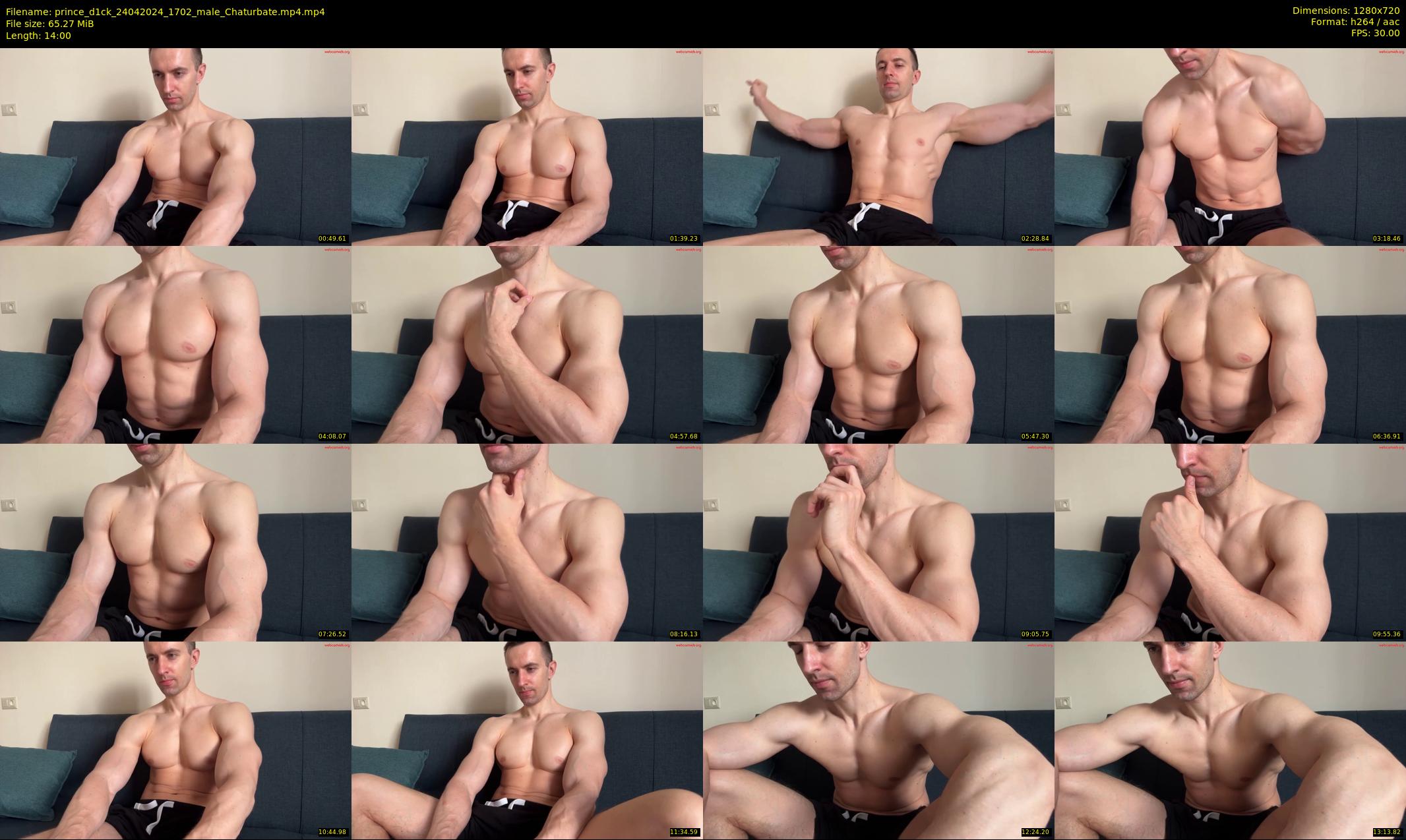 prince_d1ck — 14 minute Chaturbate male cam show recording, 720p, Apr 24, 2024
