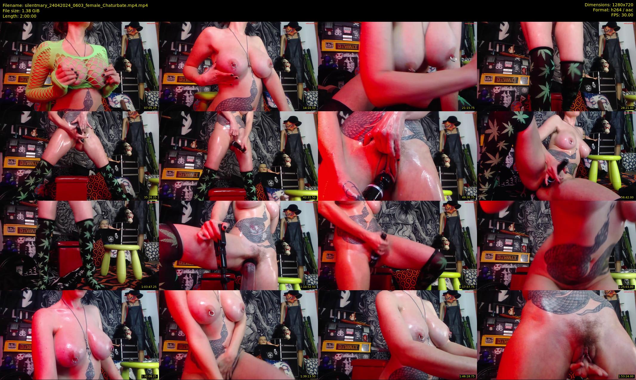 silentmary — 120 minute Chaturbate female cam show recording, 720p, Apr 24, 2024