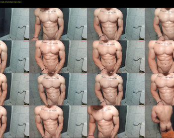advp69 — 51 minute Chaturbate male cam show recording, 480p, Apr 25, 2024