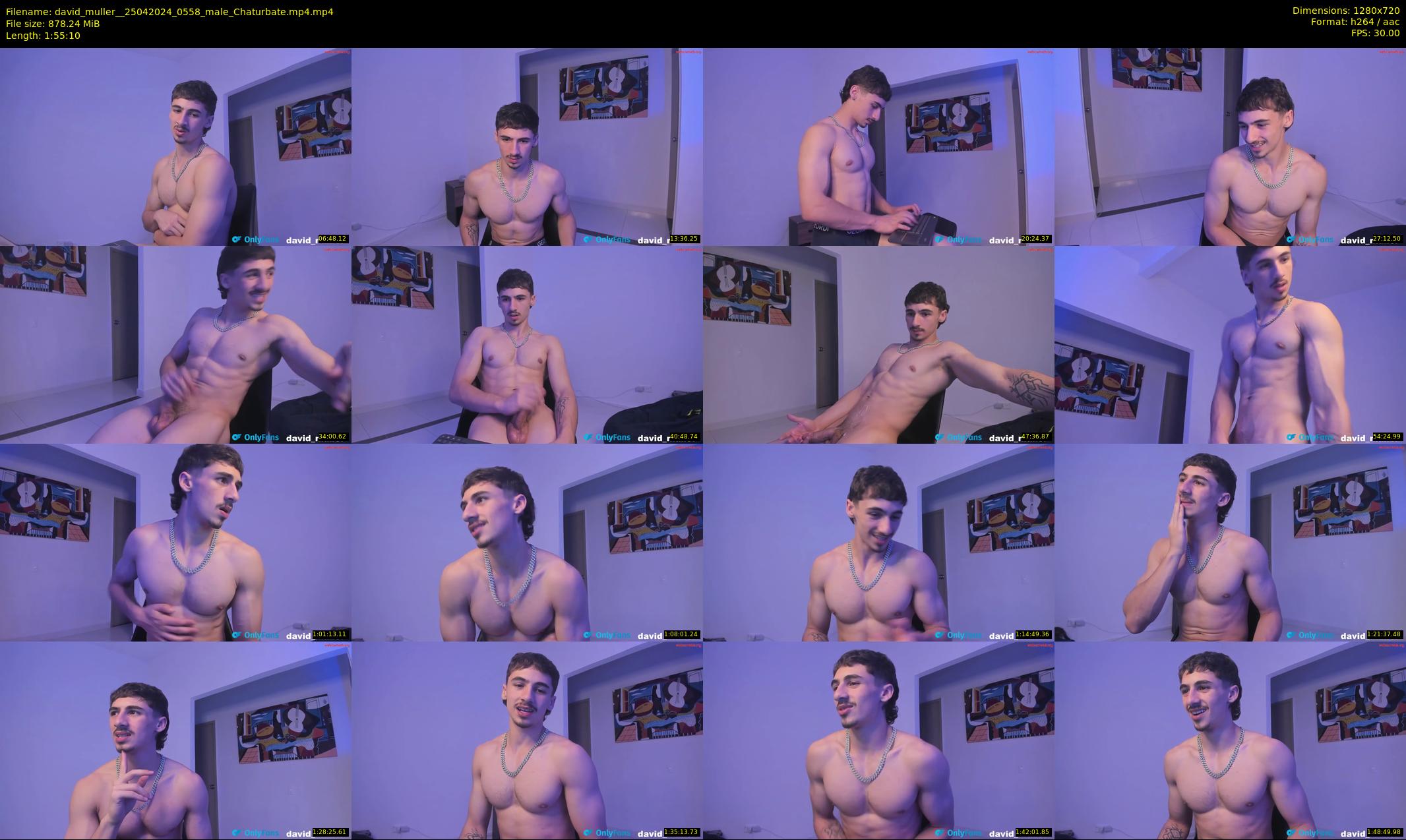 david_muller_ — 116 minute Chaturbate male cam show recording, 720p, Apr 25, 2024