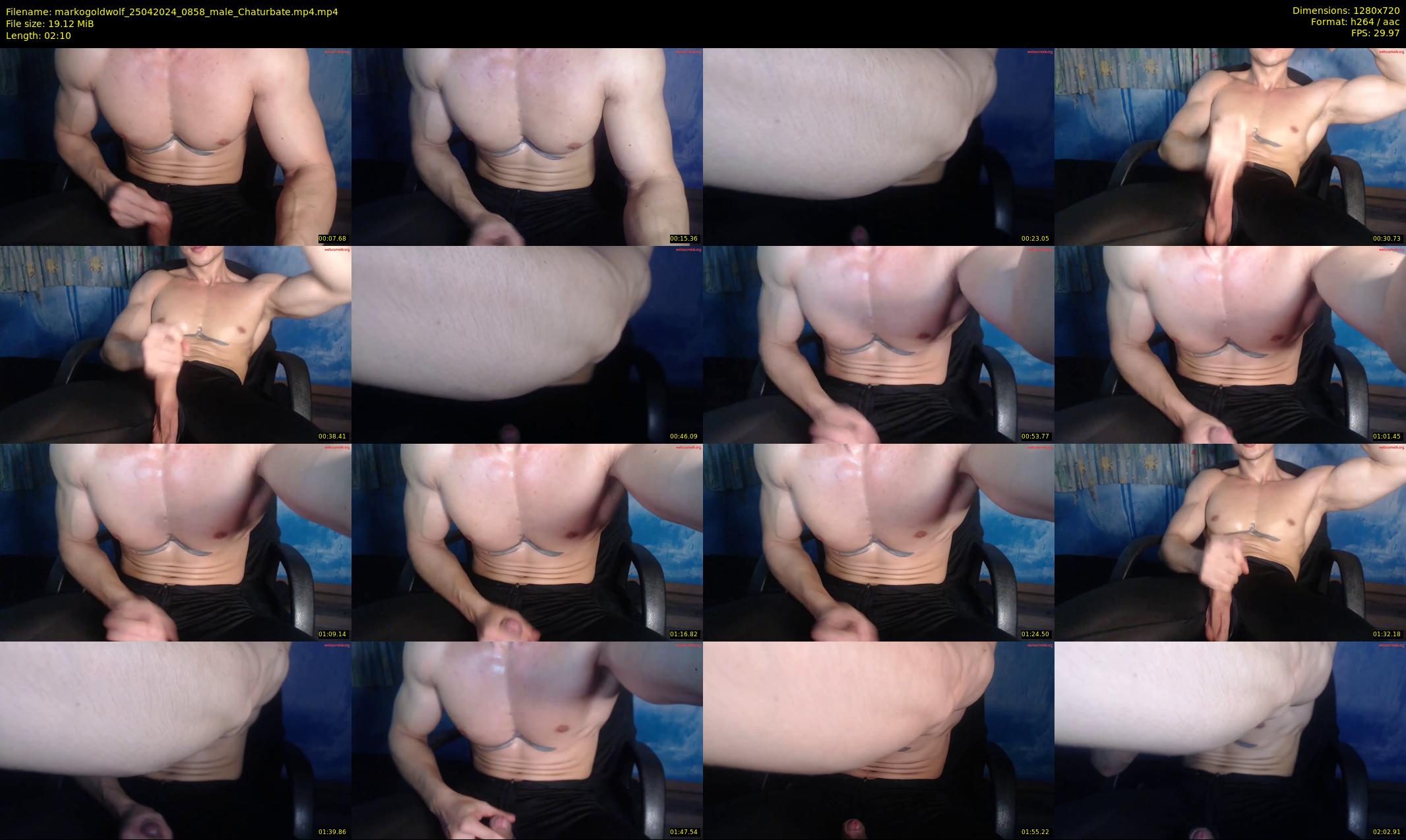 markogoldwolf — 3 minute Chaturbate male cam show recording, 720p, Apr 25, 2024