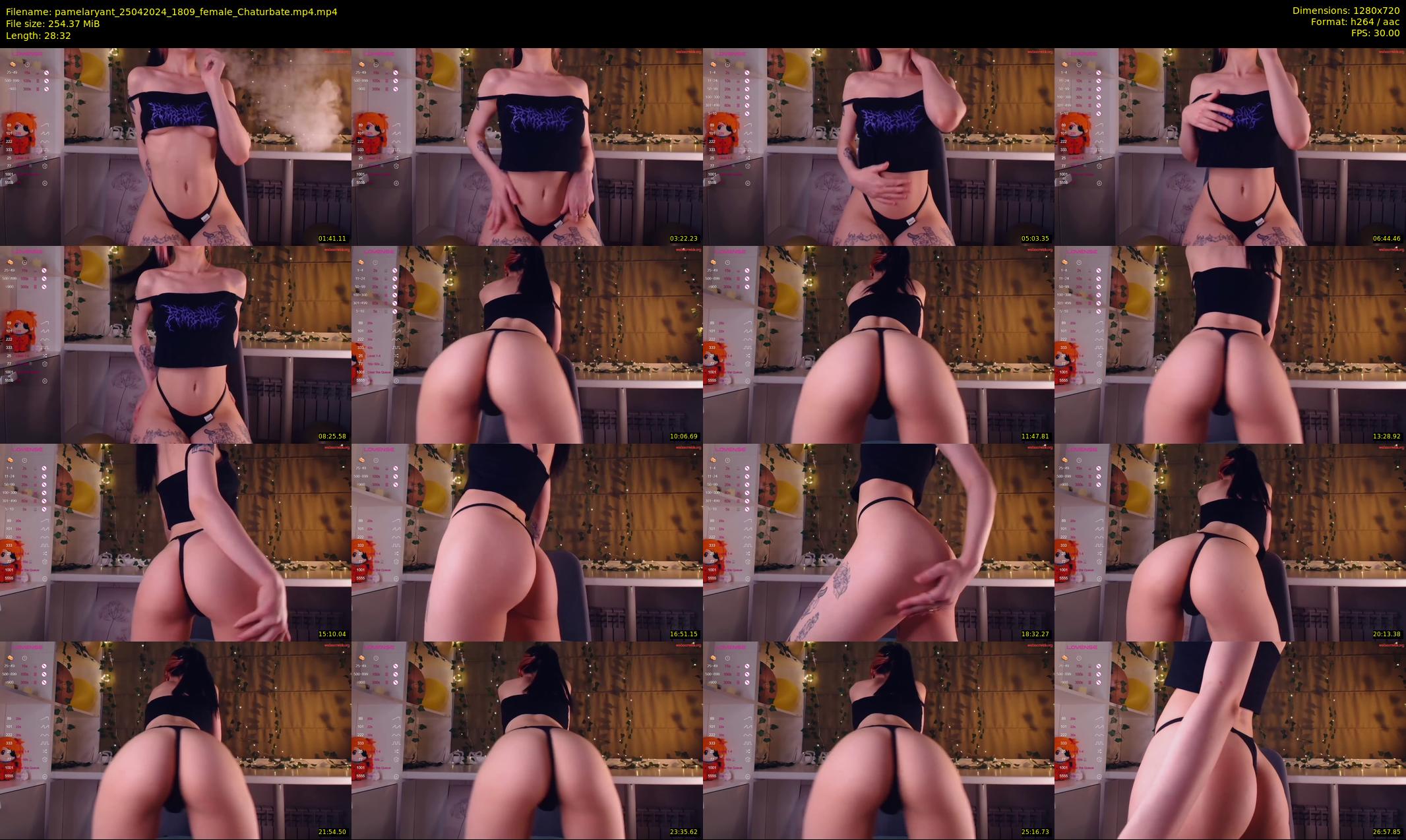 pamelaryant — 29 minute Chaturbate female cam show recording, 720p, Apr 25, 2024
