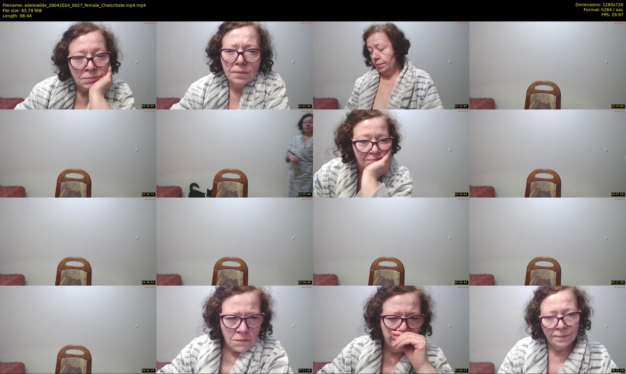 adelewildx — 9 minute Chaturbate female cam show recording, 720p, Apr 28, 2024