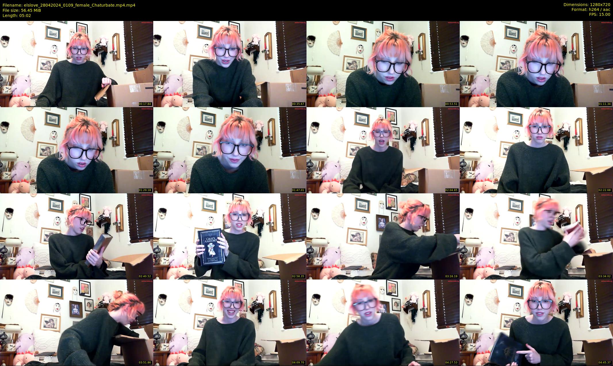 elslove — 6 minute Chaturbate female cam show recording, 720p, Apr 28, 2024
