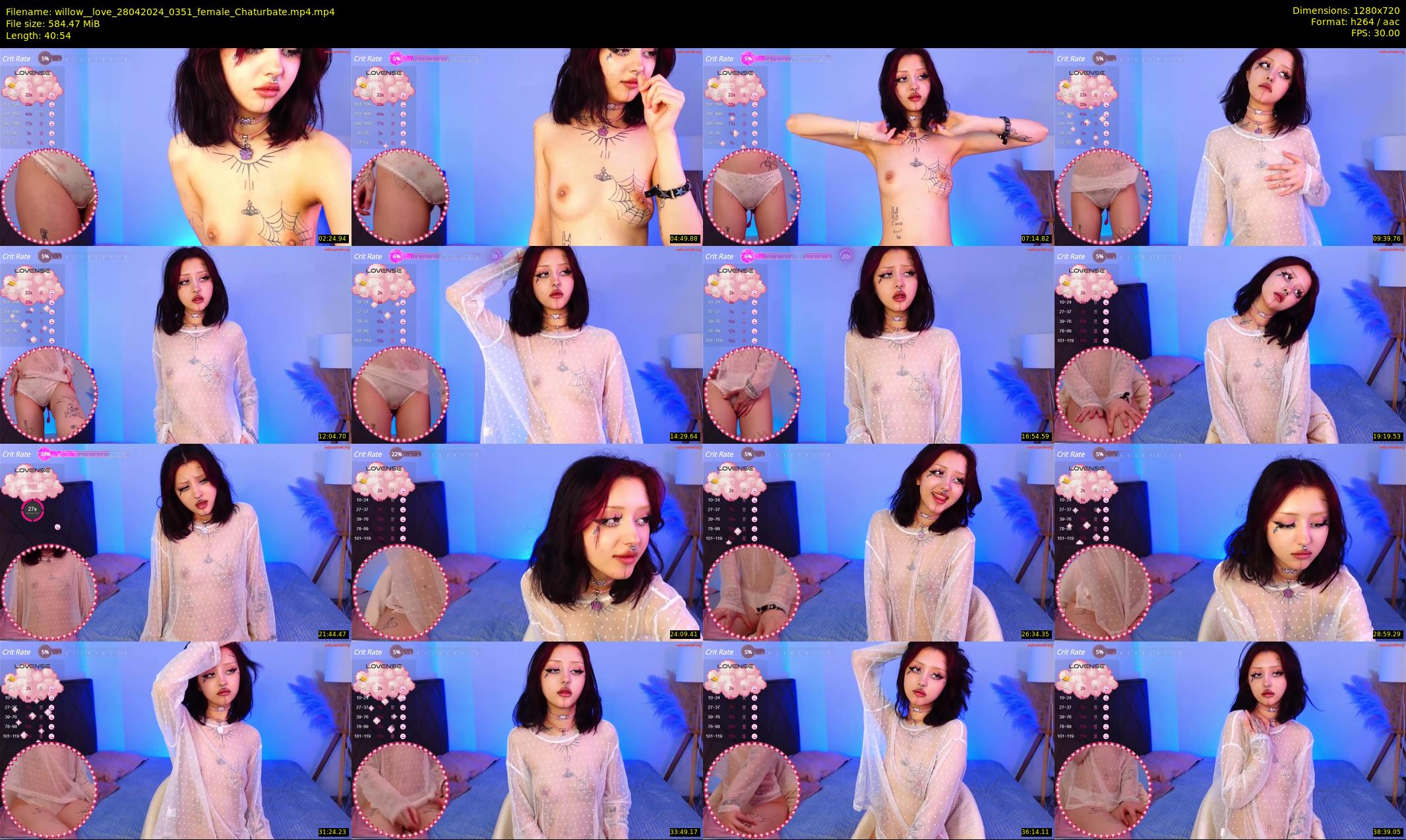 willow__love — 41 minute Chaturbate female cam show recording, 720p, Apr 28, 2024