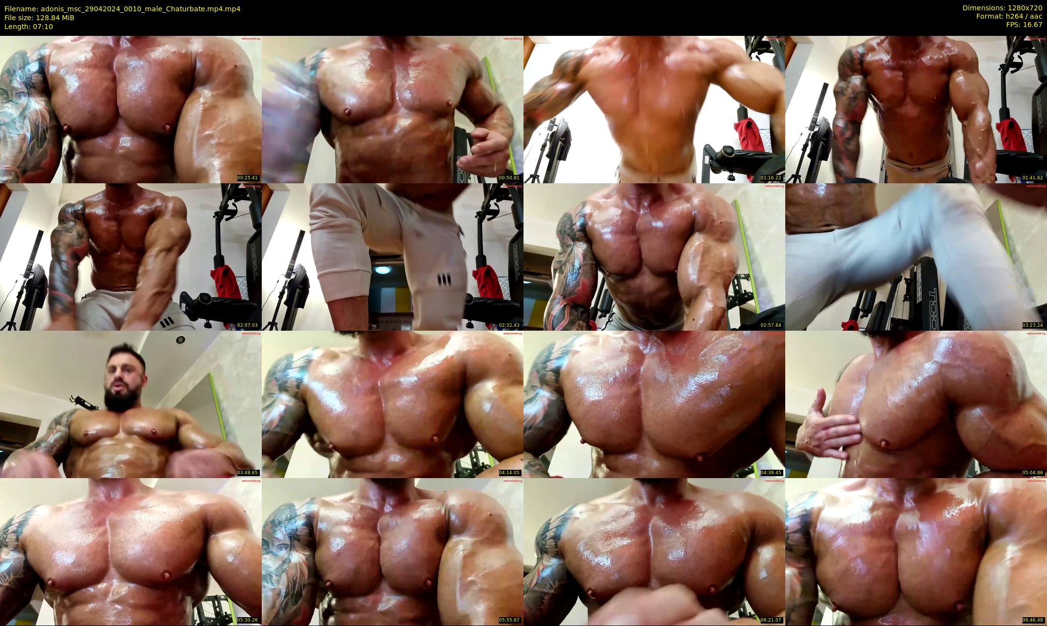 adonis_msc — 8 minute Chaturbate male cam show recording, 720p, Apr 29, 2024