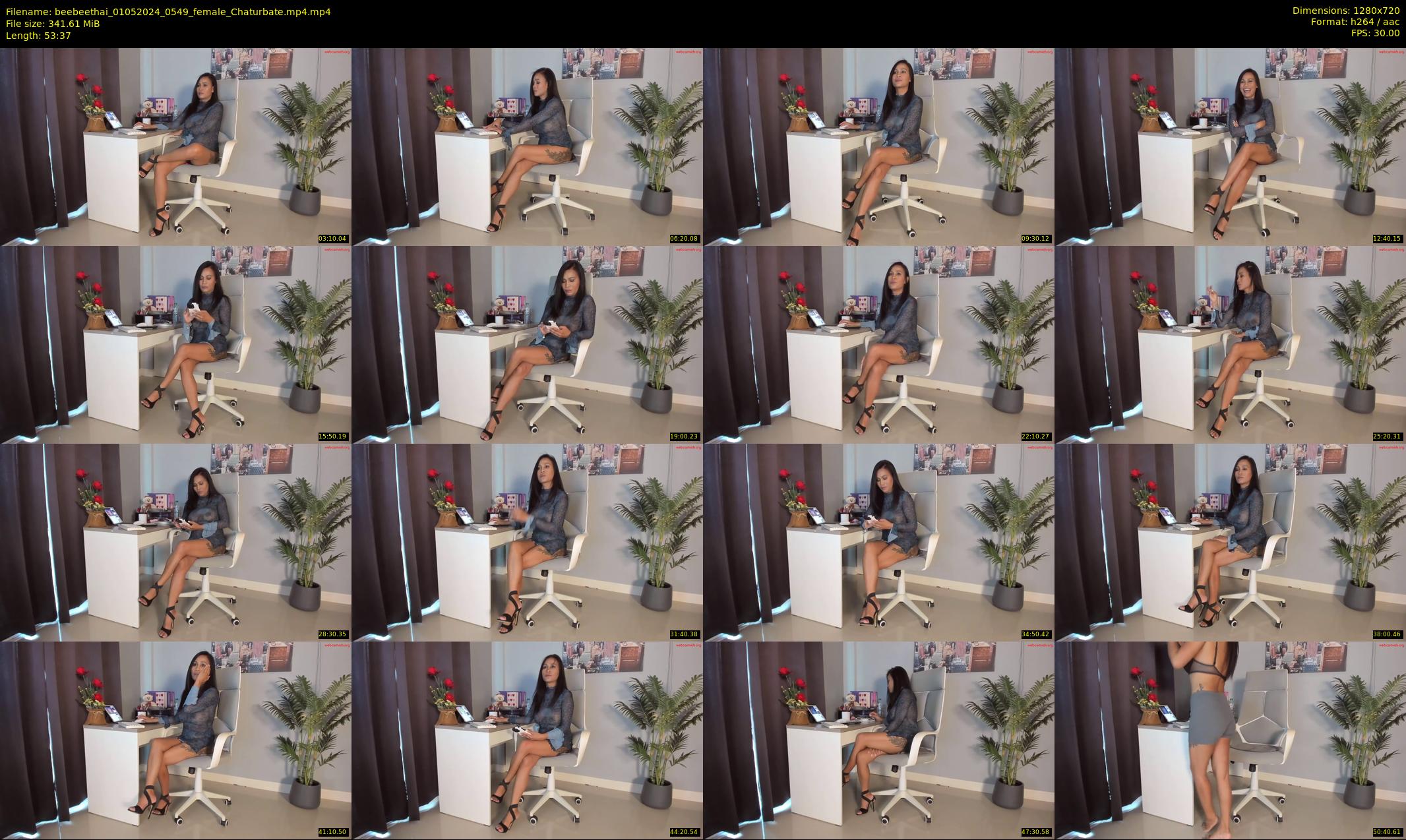 beebeethai — 54 minute Chaturbate female cam show recording, 720p, May 1, 2024
