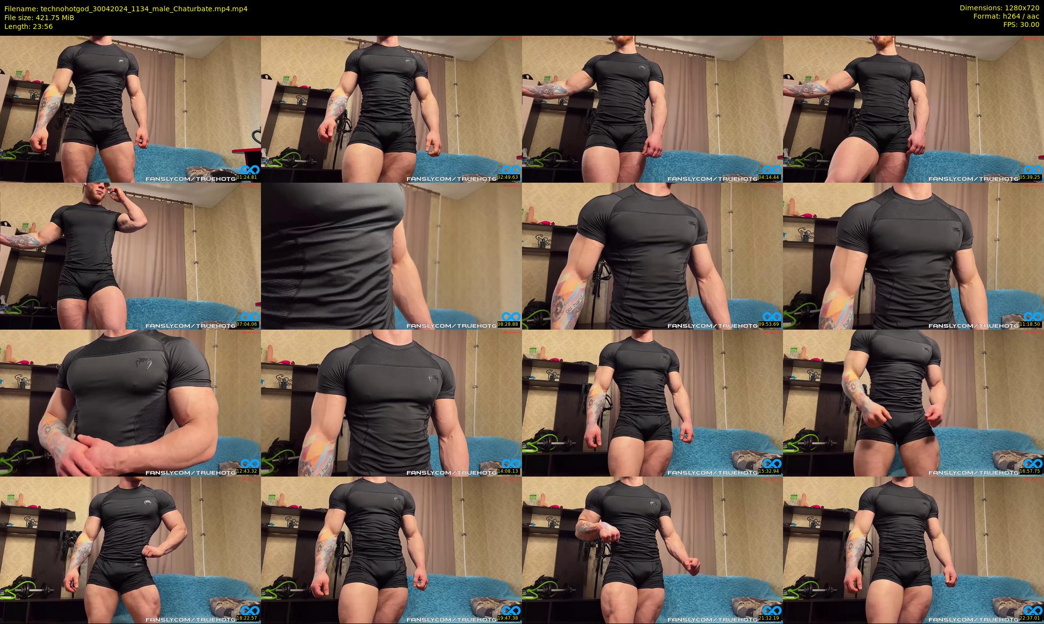 technohotgod — 24 minute Chaturbate male cam show recording, 720p, Apr 30, 2024