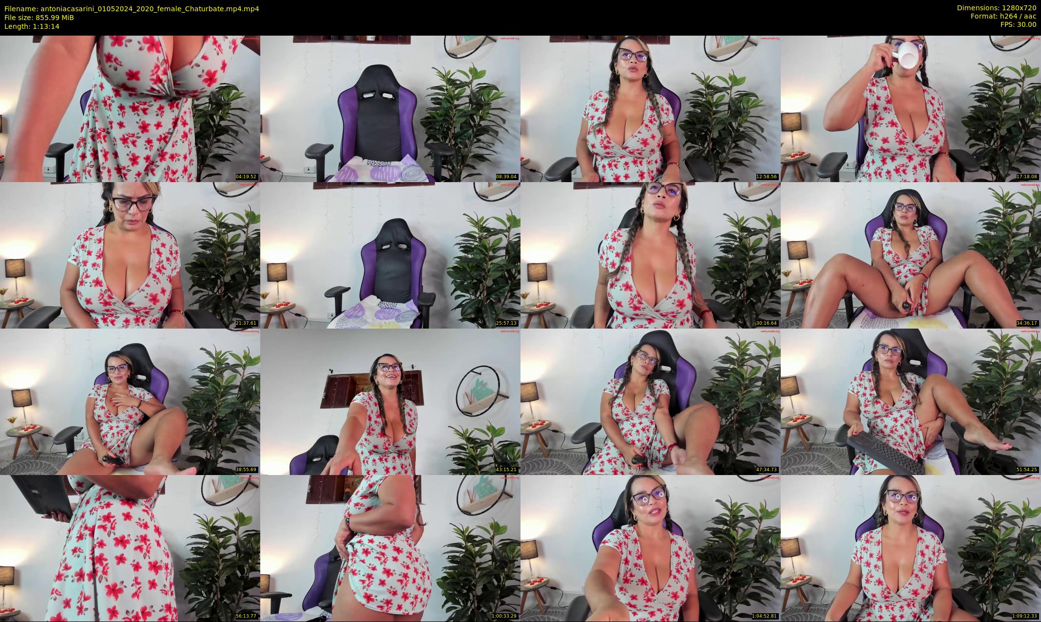antoniacasarini — 74 minute Chaturbate female cam show recording, 720p, May 1, 2024