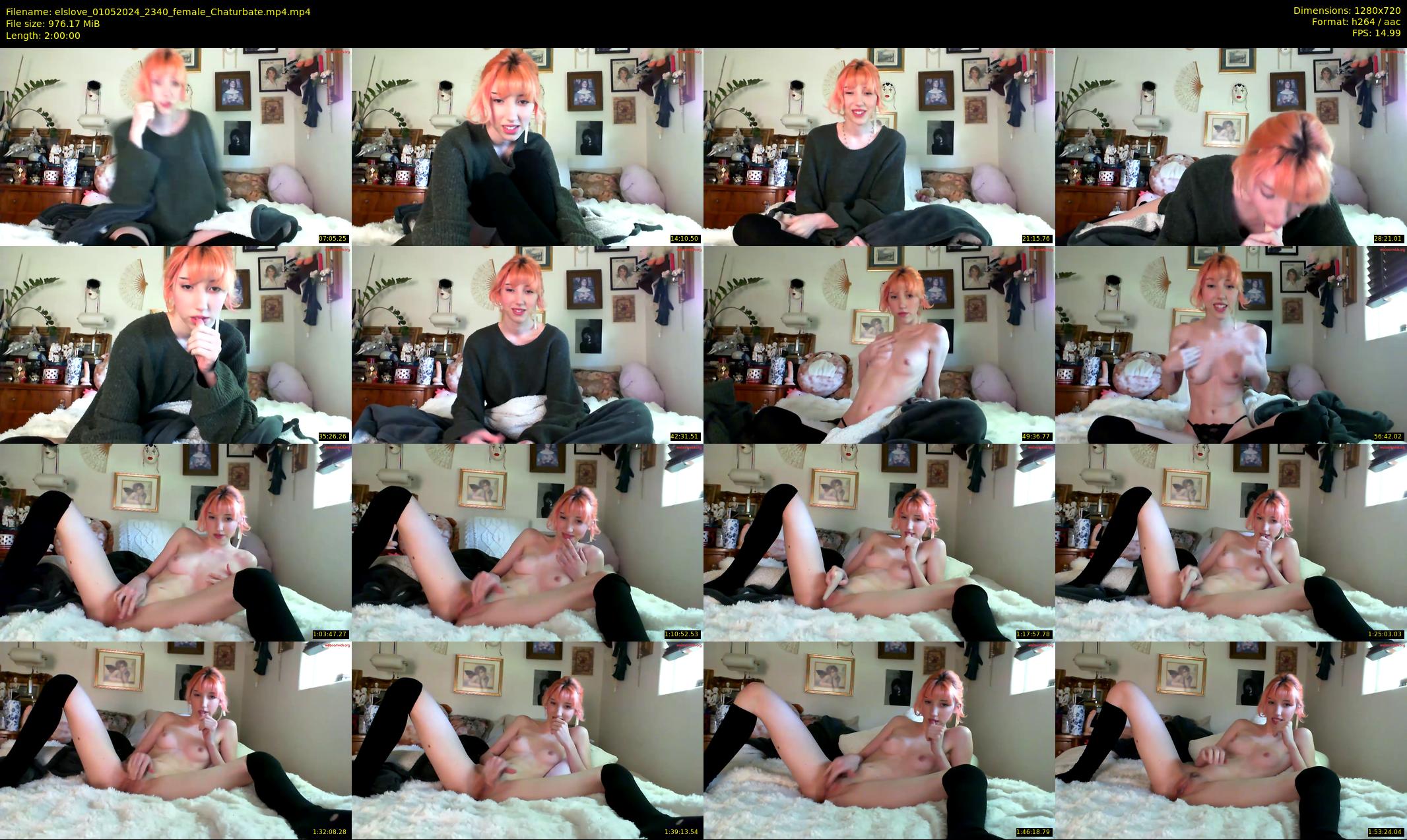 elslove — 120 minute Chaturbate female cam show recording, 720p, May 1, 2024