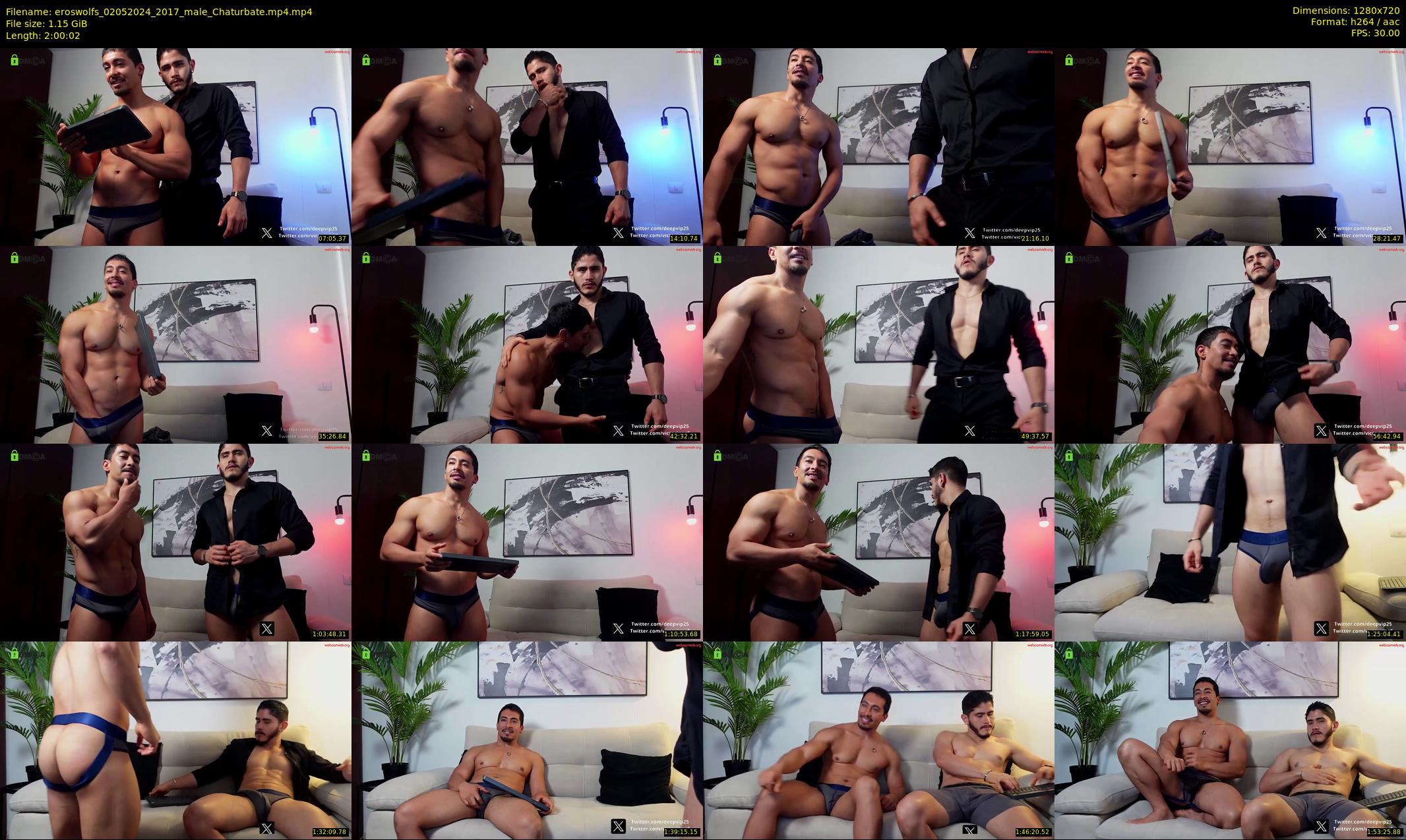 eroswolfs — 121 minute Chaturbate male cam show recording, 720p, May 2, 2024