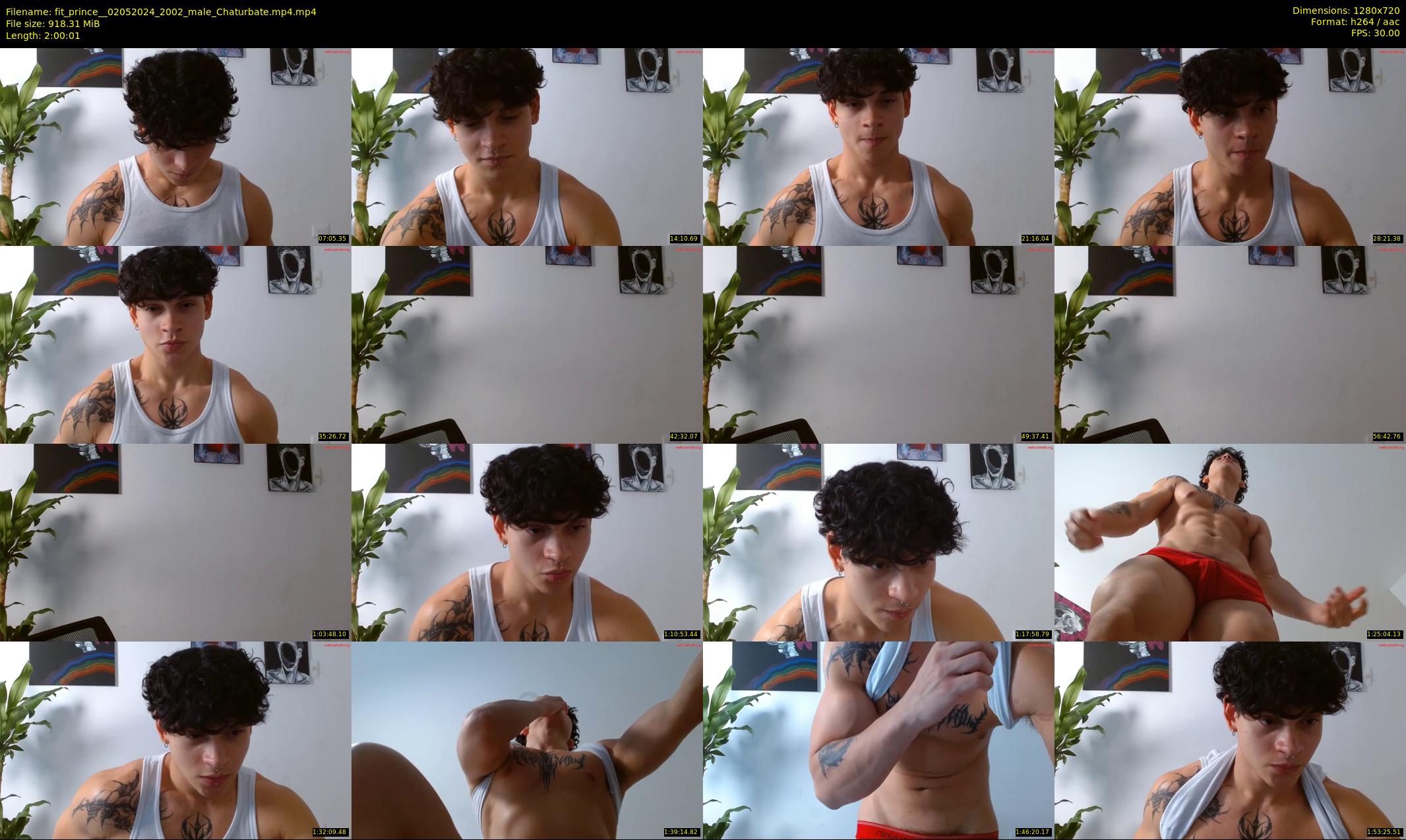 fit_prince_ — 121 minute Chaturbate male cam show recording, 720p, May 2, 2024