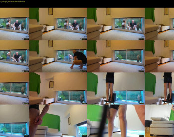 monikfree — 13 minute Chaturbate couple cam show recording, 720p, May 2, 2024