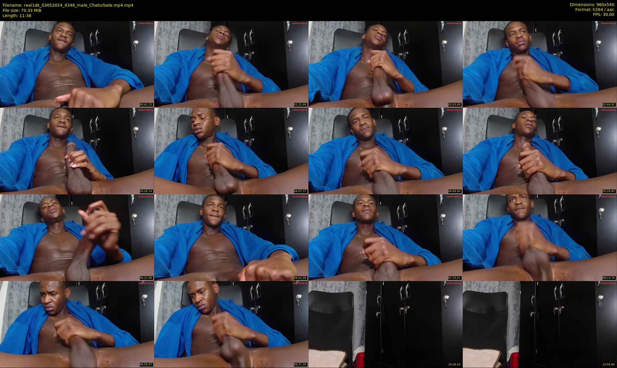real1dk — 12 minute Chaturbate male cam show recording, 480p, May 3, 2024