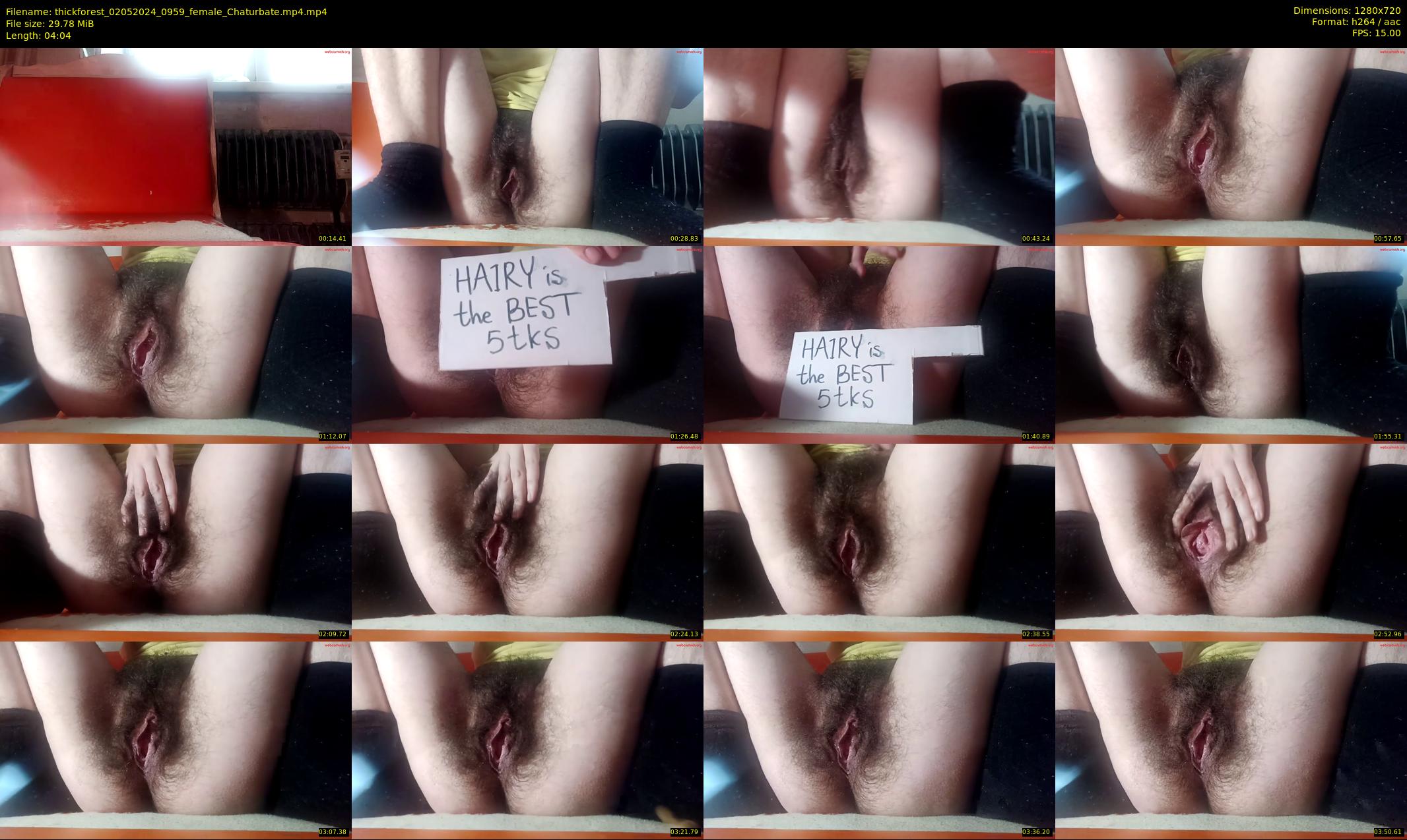thickforest — 5 minute Chaturbate female cam show recording, 720p, May 2, 2024
