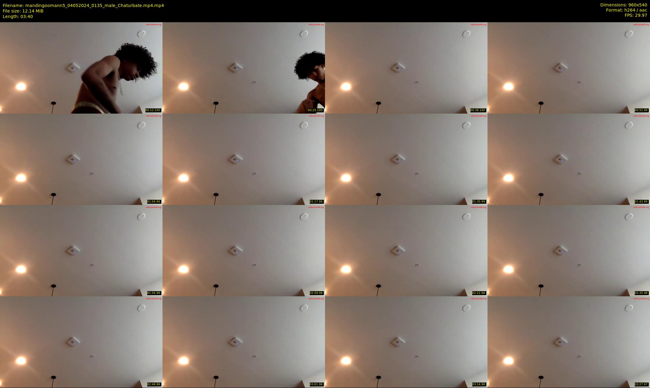 mandingoomann5 — 4 minute Chaturbate male cam show recording, 480p, May 4, 2024