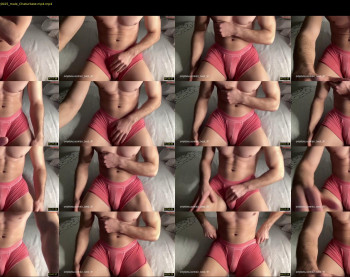bestdick1991 — 5 minute Chaturbate male cam show recording, 720p, May 5, 2024