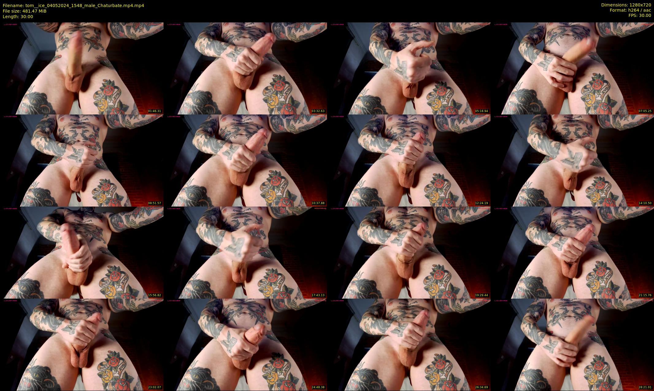 tom__ice — 30 minute Chaturbate male cam show recording, 720p, May 4, 2024
