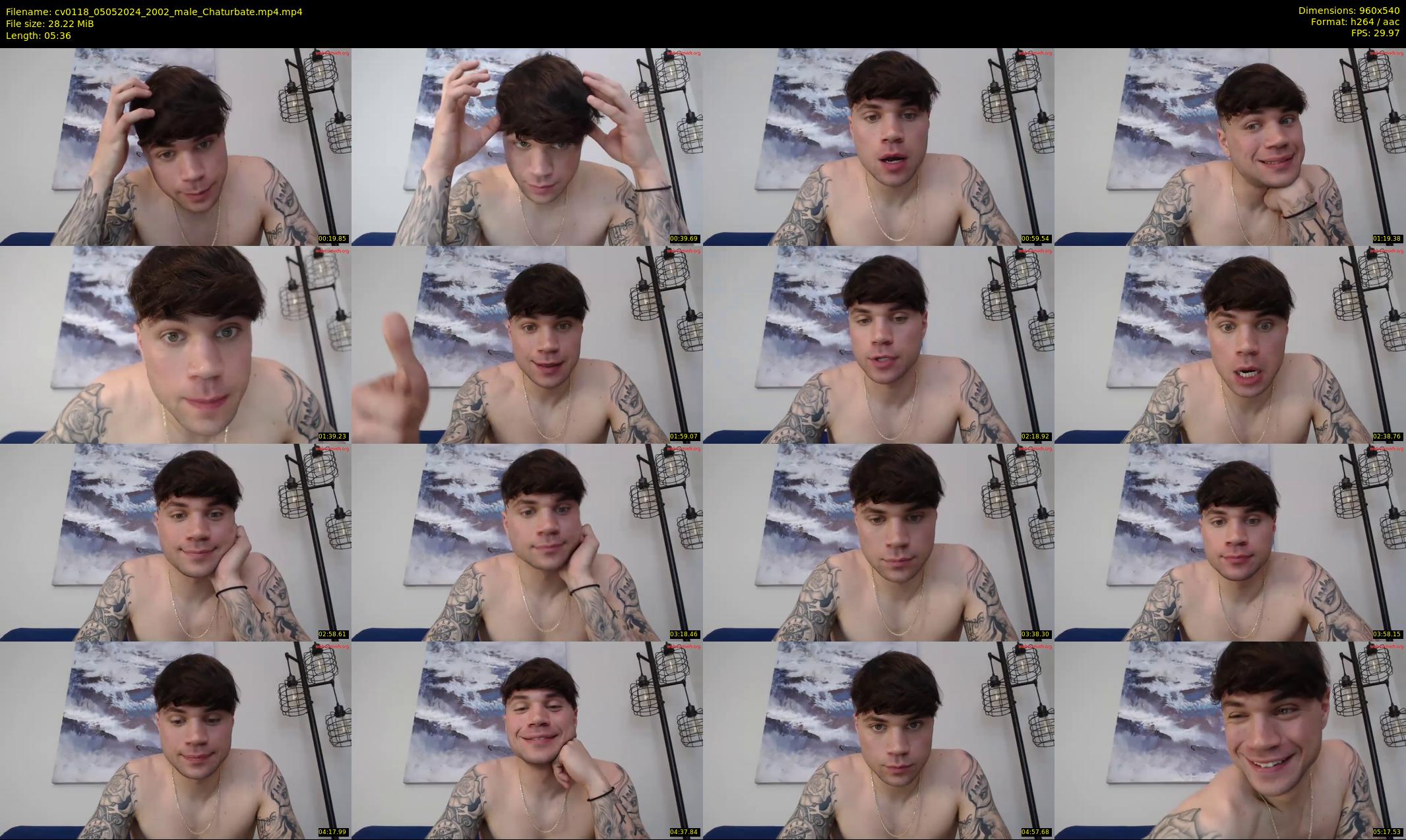 cv0118 — 6 minute Chaturbate male cam show recording, 480p, May 5, 2024