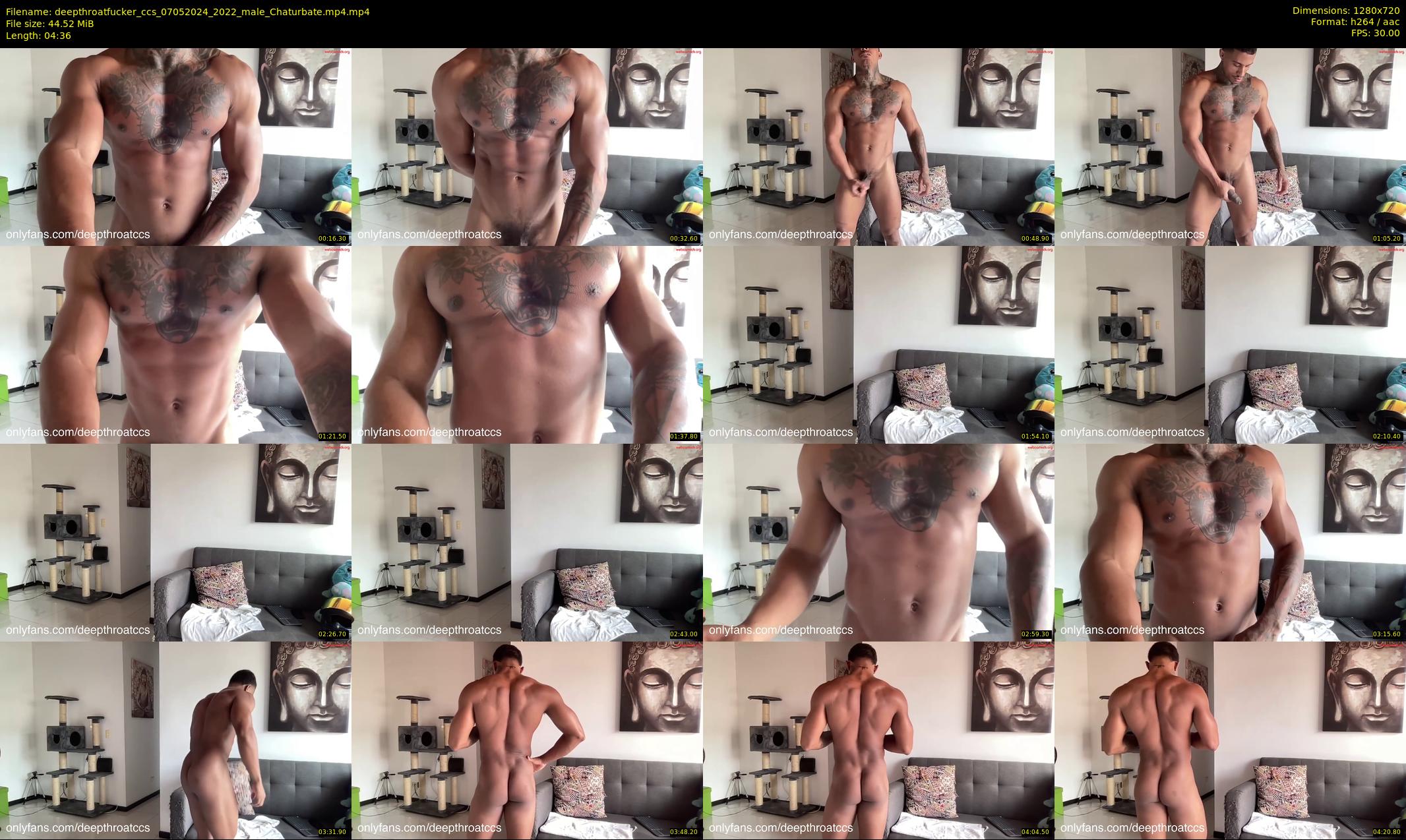 deepthroatfucker_ccs — 5 minute Chaturbate male cam show recording, 720p, May 7, 2024