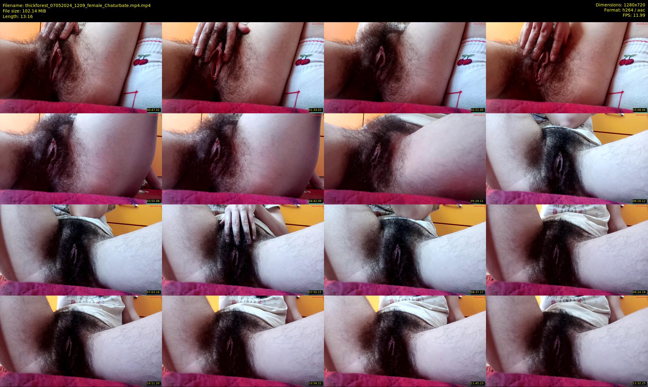 thickforest — 14 minute Chaturbate female cam show recording, 720p, May 7, 2024