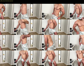 js_ihavecookie — 41 minute Chaturbate male cam show recording, 720p, May 8, 2024