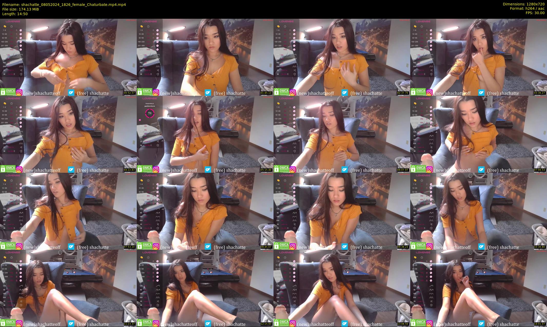 shachatte — 15 minute Chaturbate couple cam show recording, 720p, May 8, 2024