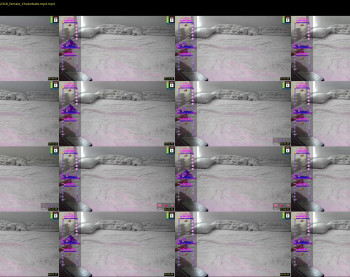 th3dirtyasian — 11 minute Chaturbate couple cam show recording, 720p, May 8, 2024