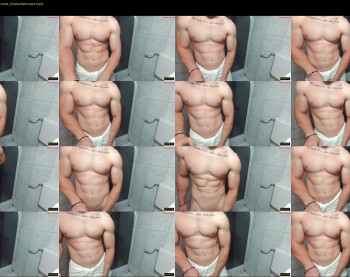 advp69 — 29 minute Chaturbate male cam show recording, 480p, May 9, 2024