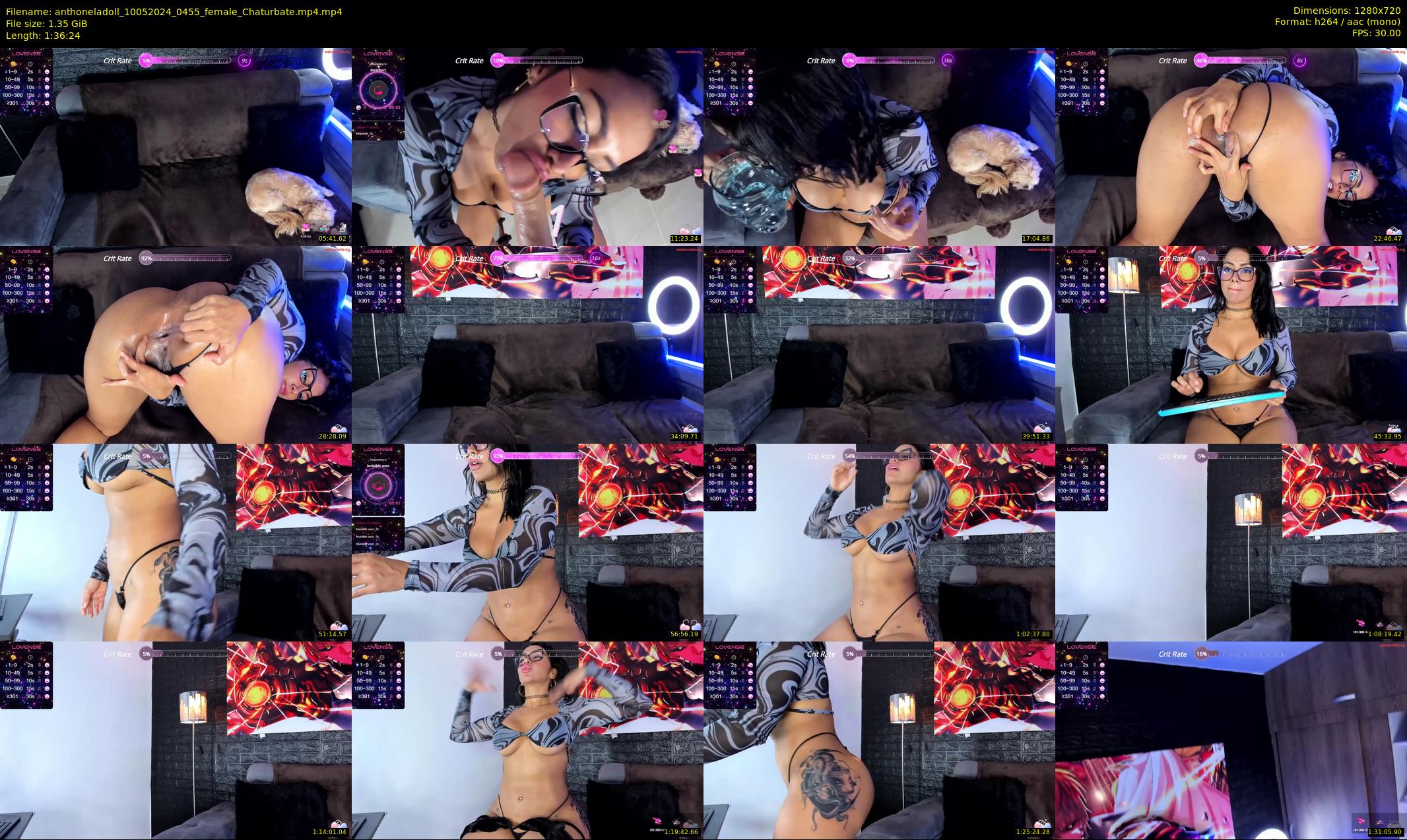 anthoneladoll — 97 minute Chaturbate female cam show recording, 720p, May 10, 2024