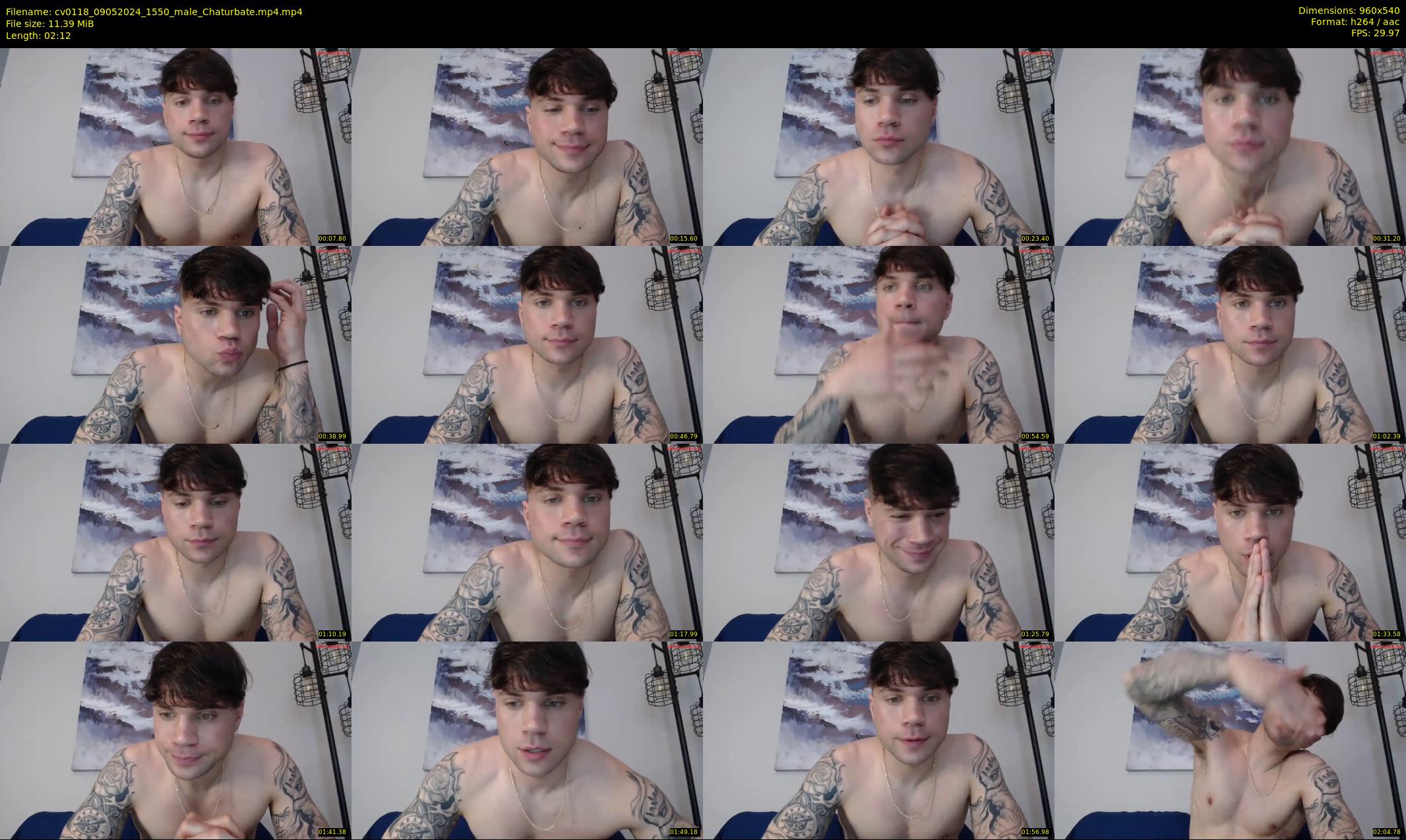 cv0118 — 3 minute Chaturbate male cam show recording, 480p, May 9, 2024