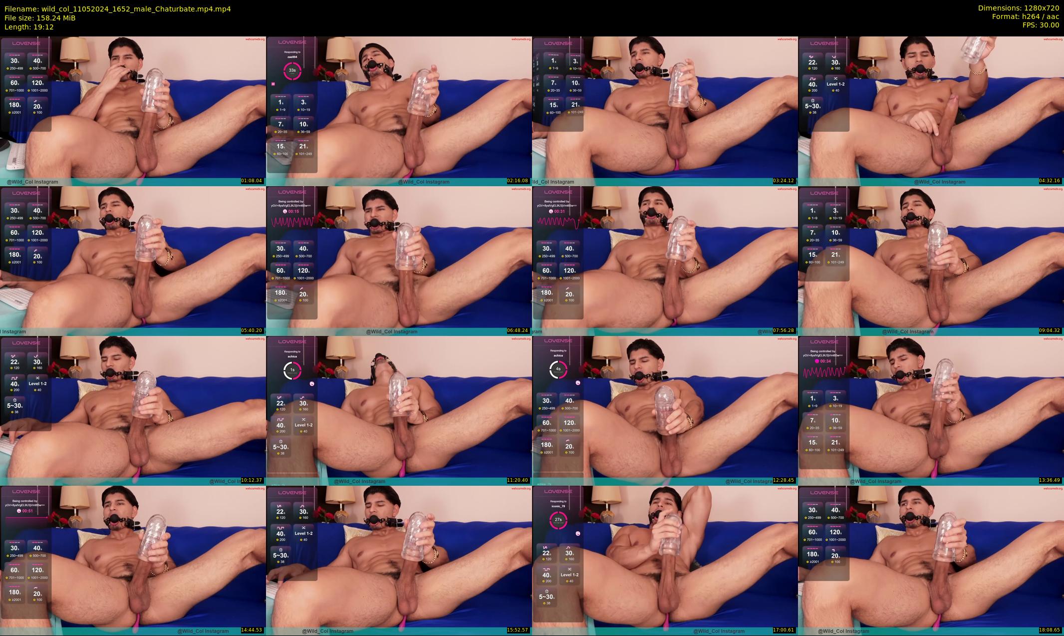 wild_col — 20 minute Chaturbate male cam show recording, 720p, May 11, 2024