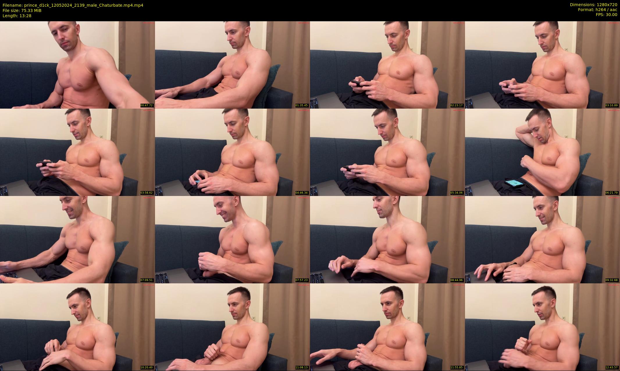 prince_d1ck — 14 minute Chaturbate male cam show recording, 720p, May 12, 2024