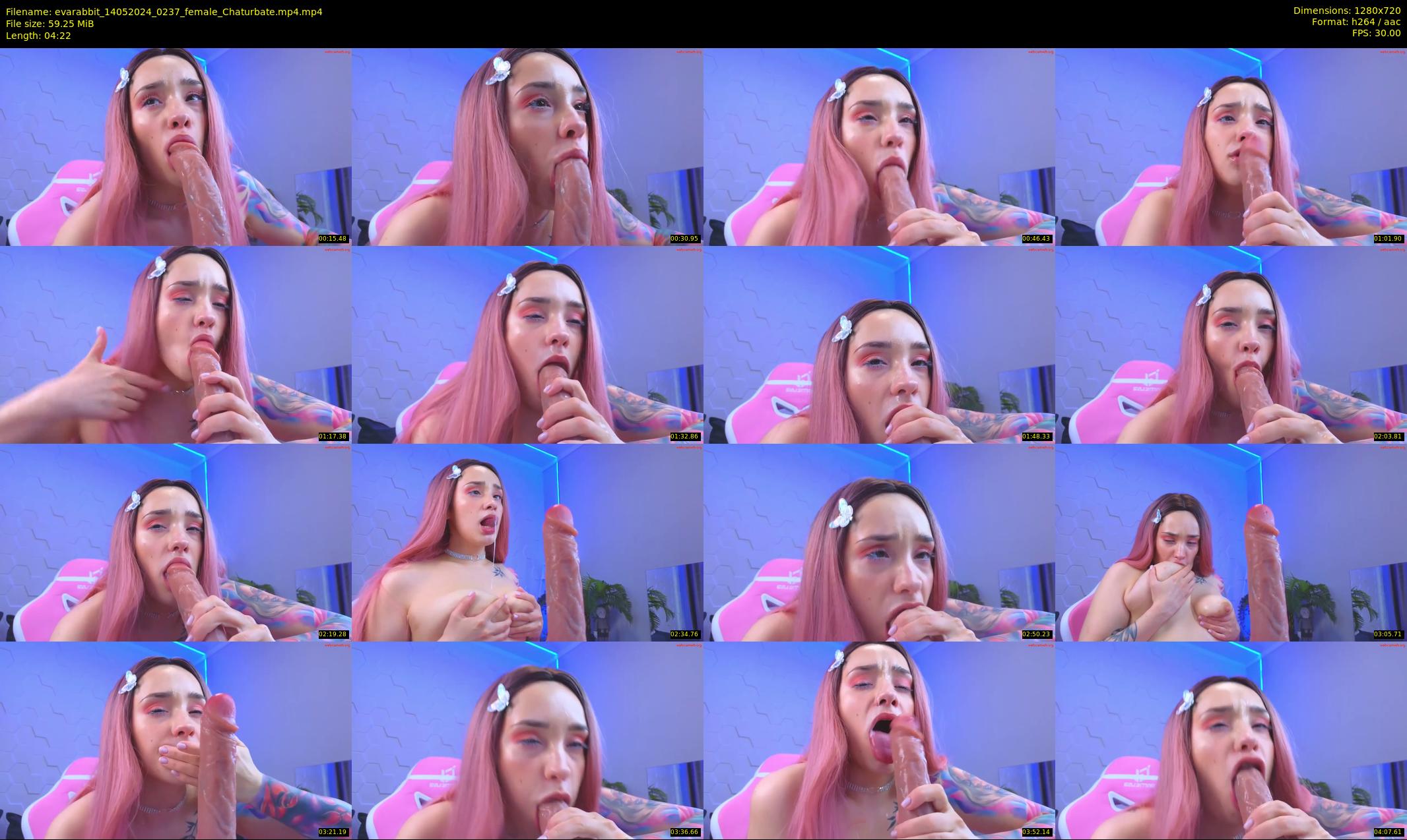 evarabbit — 5 minute Chaturbate female cam show recording, 720p, May 14, 2024
