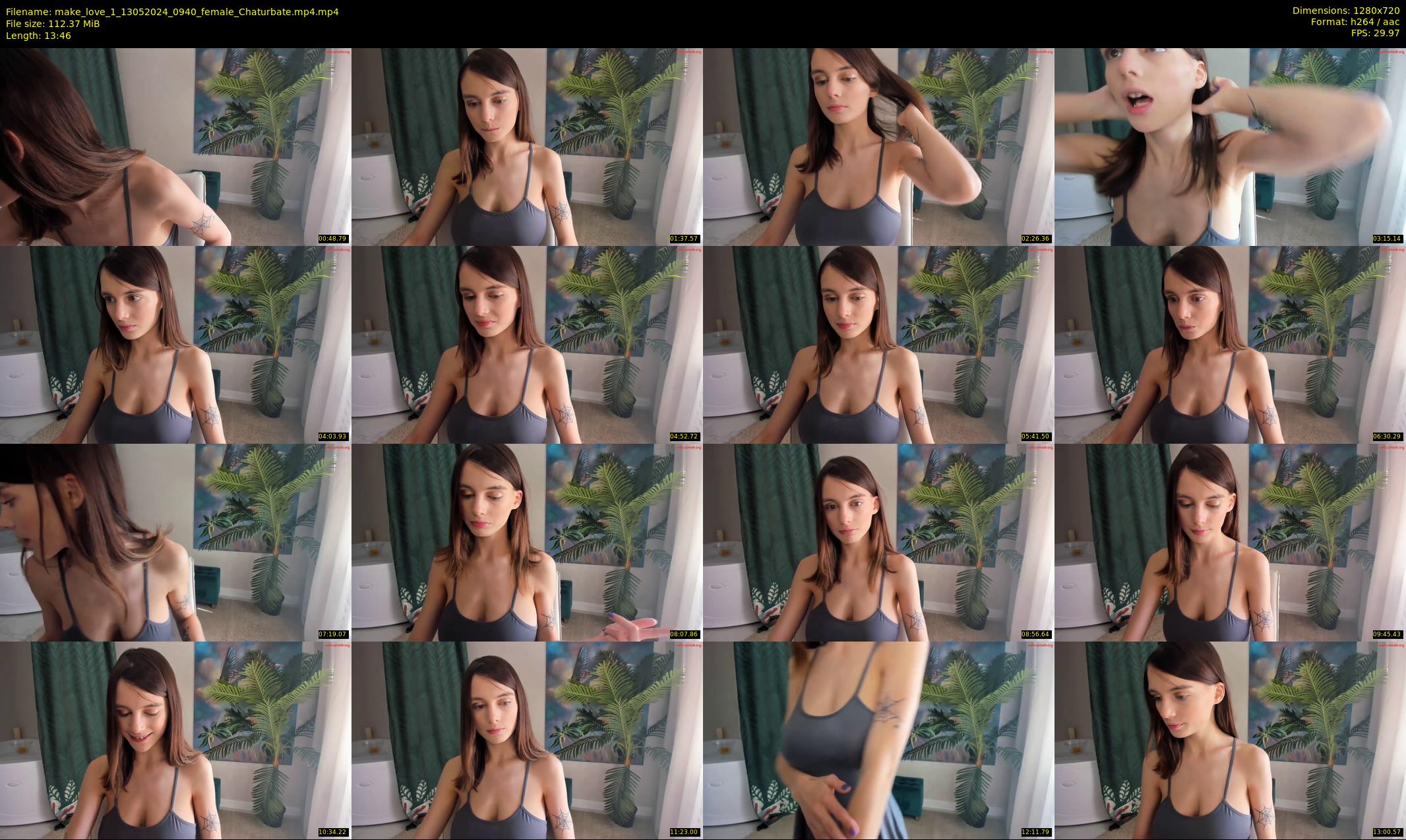 make_love_1 — 14 minute Chaturbate female cam show recording, 720p, May 13, 2024