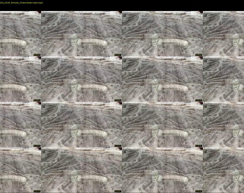 mswilderness420 — 3 minute Chaturbate female cam show recording, 720p, May 14, 2024