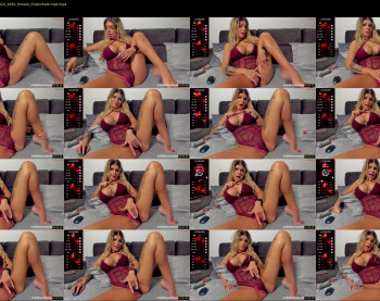 dangerousdream — 17 minute Chaturbate couple cam show recording, 720p, May 15, 2024