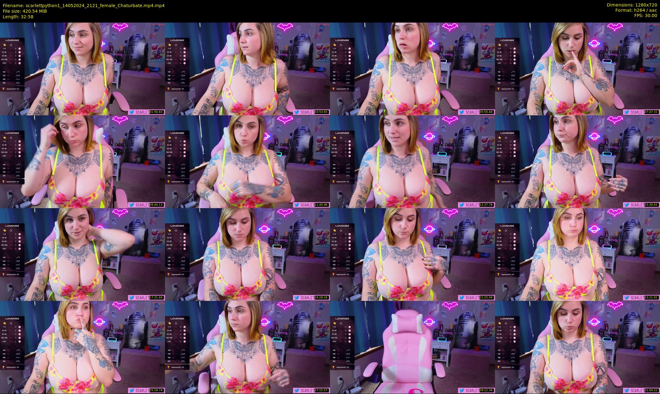 scarlettpython1 — 33 minute Chaturbate female cam show recording, 720p, May 14, 2024