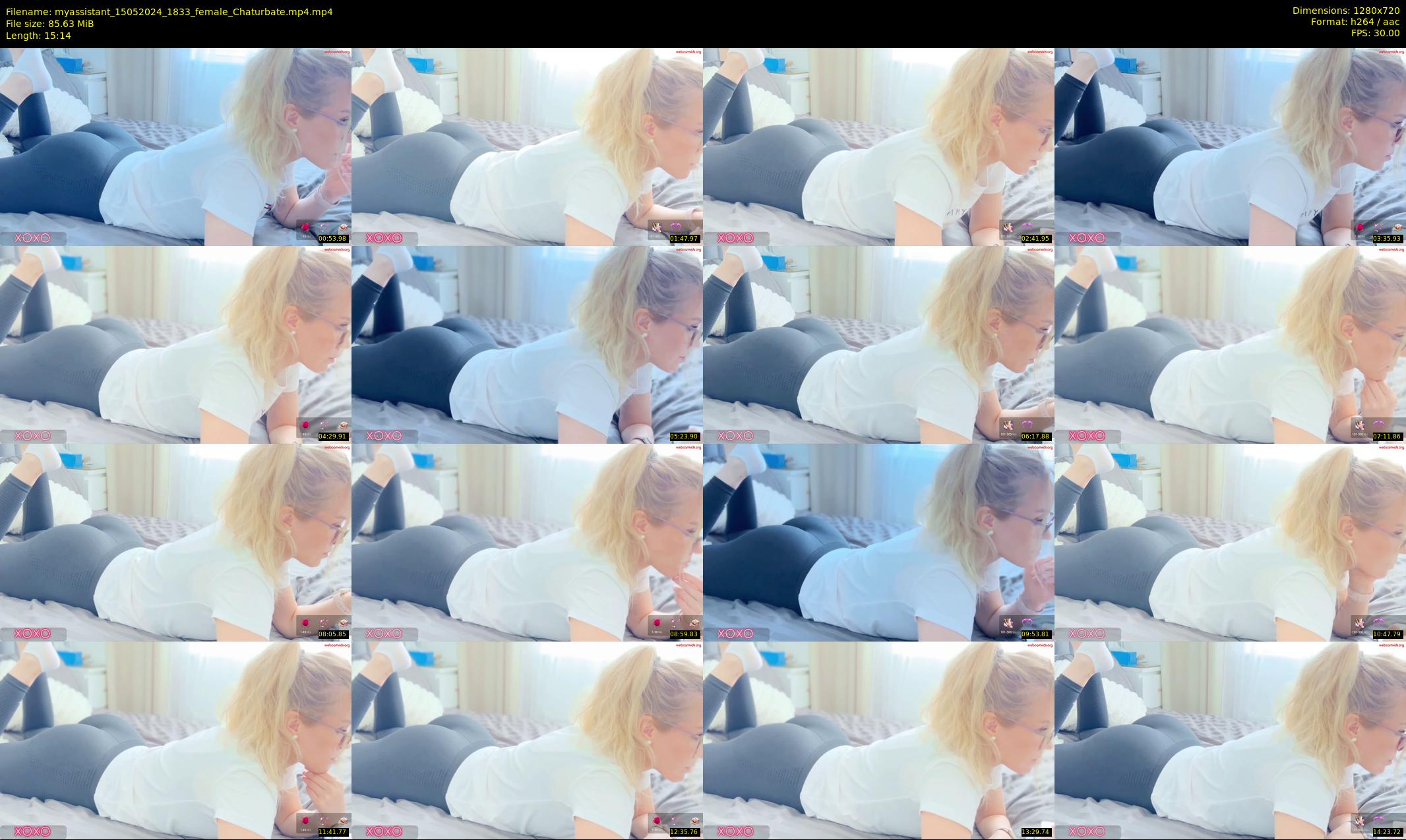 myassistant — 16 minute Chaturbate female cam show recording, 720p, May 15, 2024