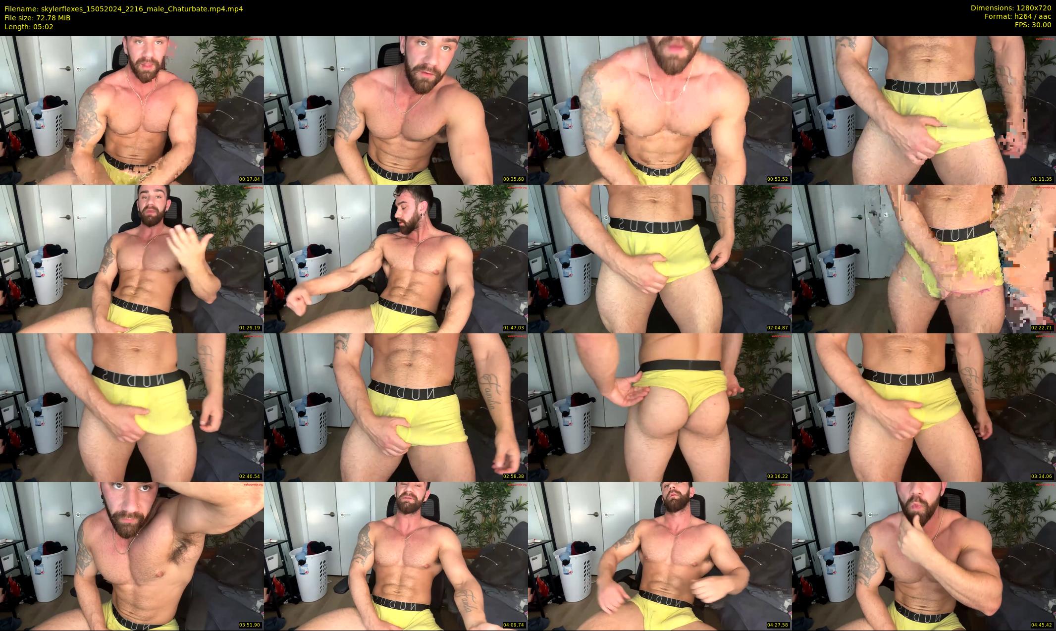 skylerflexes — 6 minute Chaturbate male cam show recording, 720p, May 15, 2024