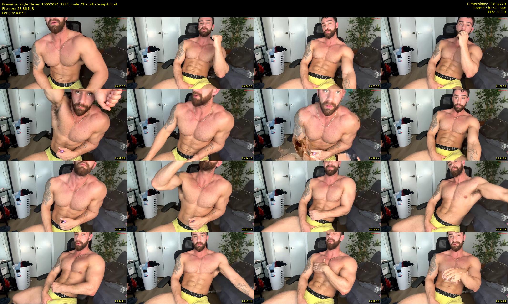 skylerflexes — 5 minute Chaturbate male cam show recording, 720p, May 15, 2024