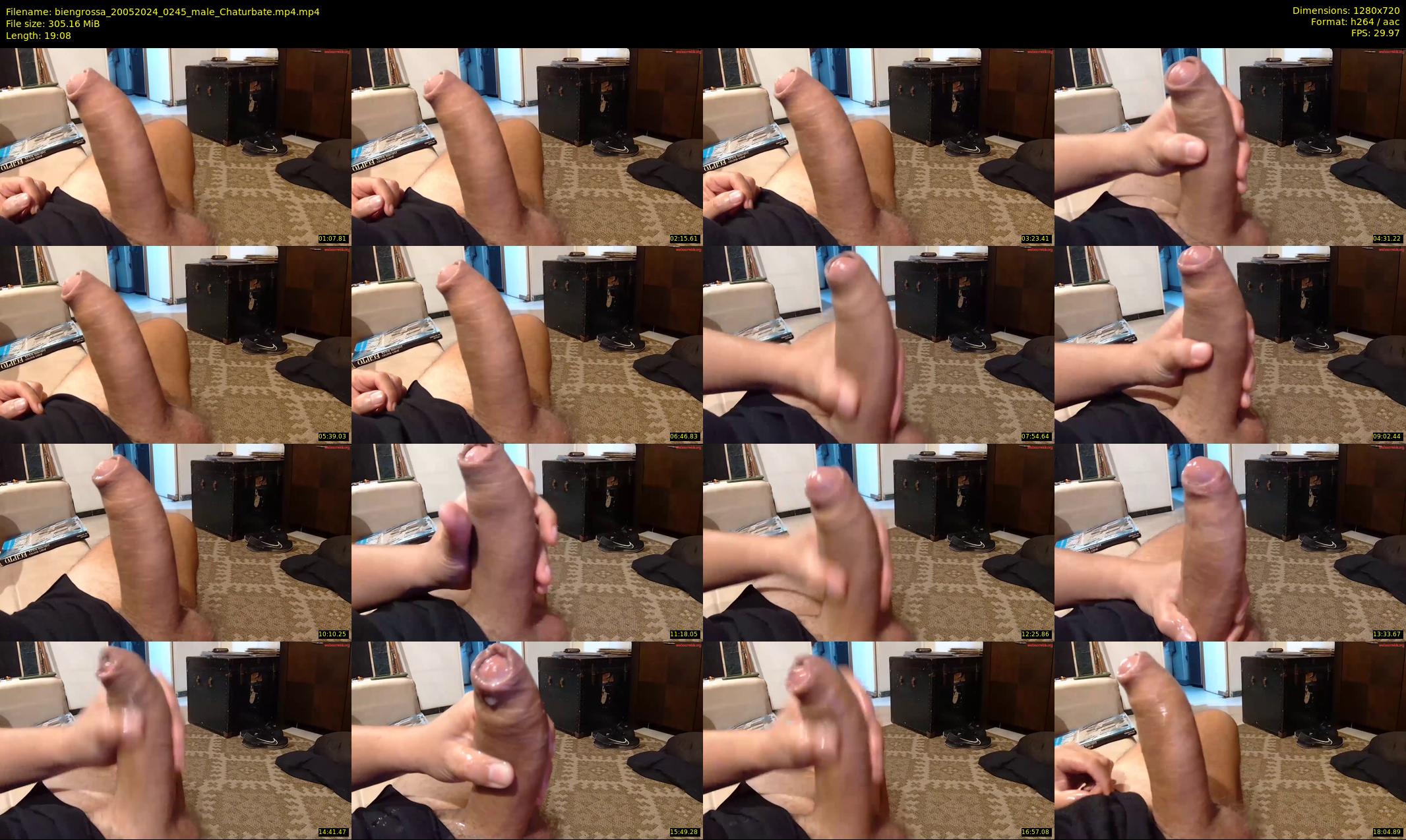 biengrossa — 20 minute Chaturbate male cam show recording, 720p, May 20, 2024