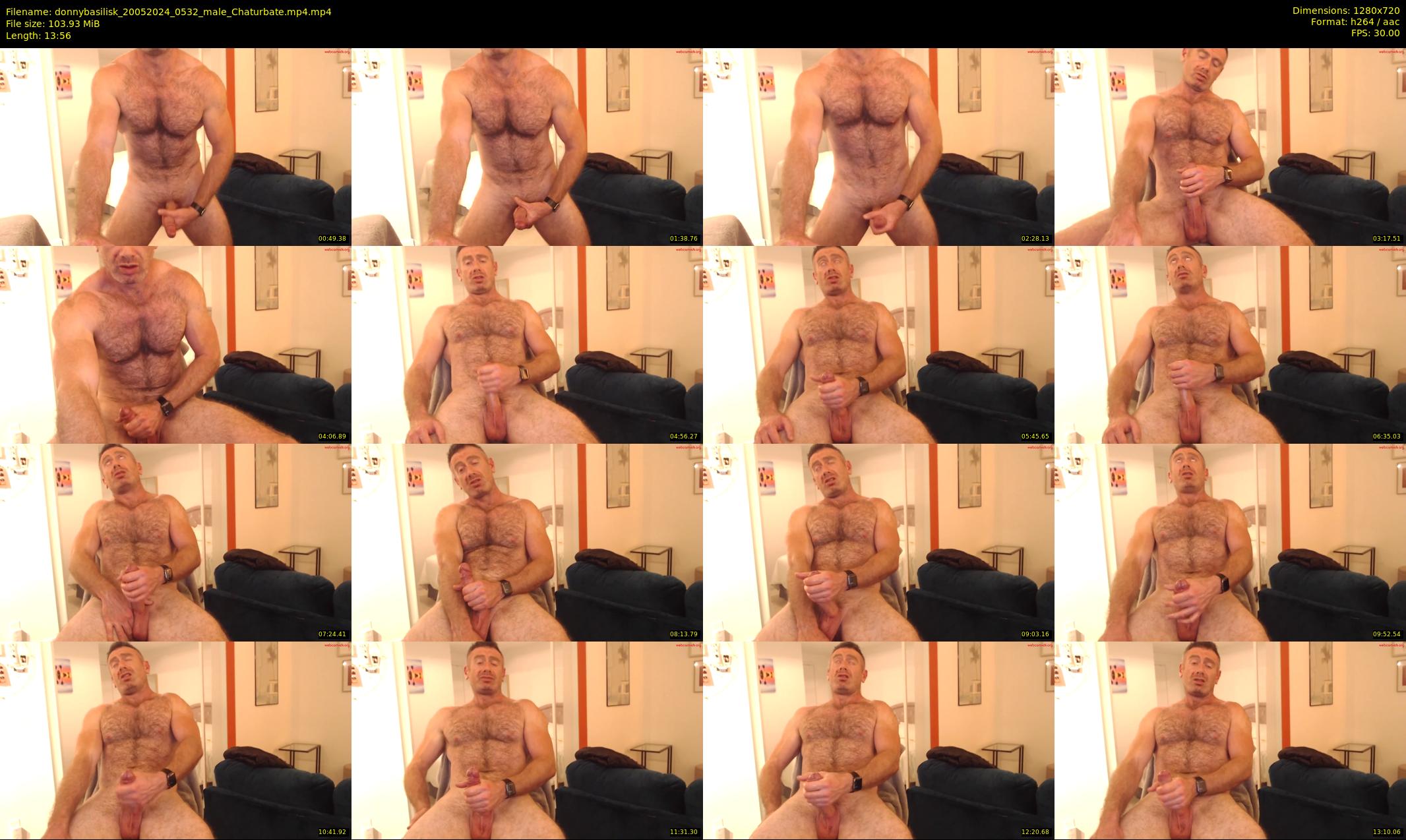donnybasilisk — 14 minute Chaturbate male cam show recording, 720p, May 20, 2024