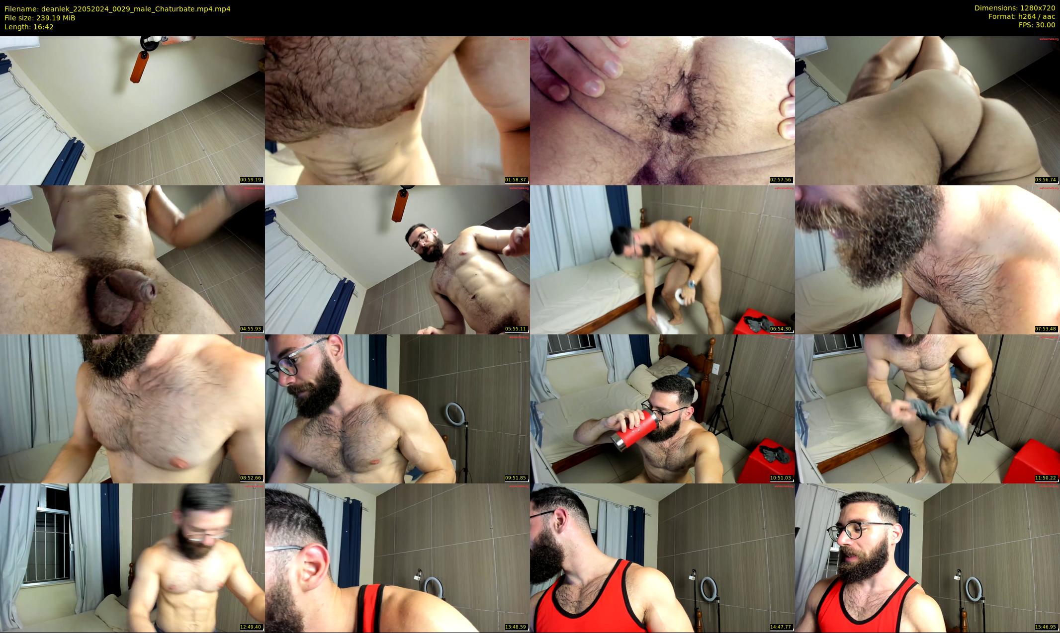 deanlek — 17 minute Chaturbate male cam show recording, 720p, May 22, 2024