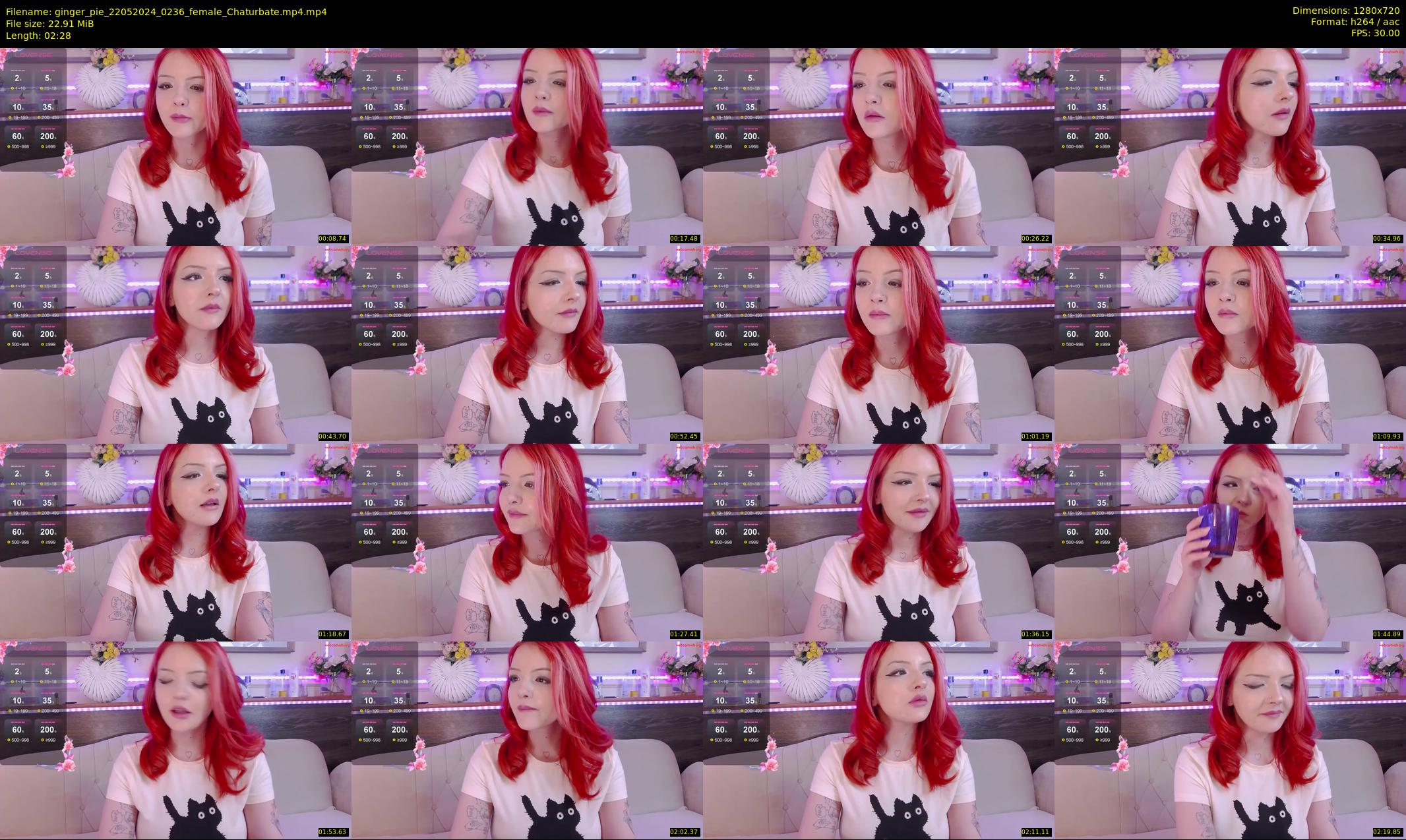 ginger_pie — 3 minute Chaturbate female cam show recording, 720p, May 22, 2024