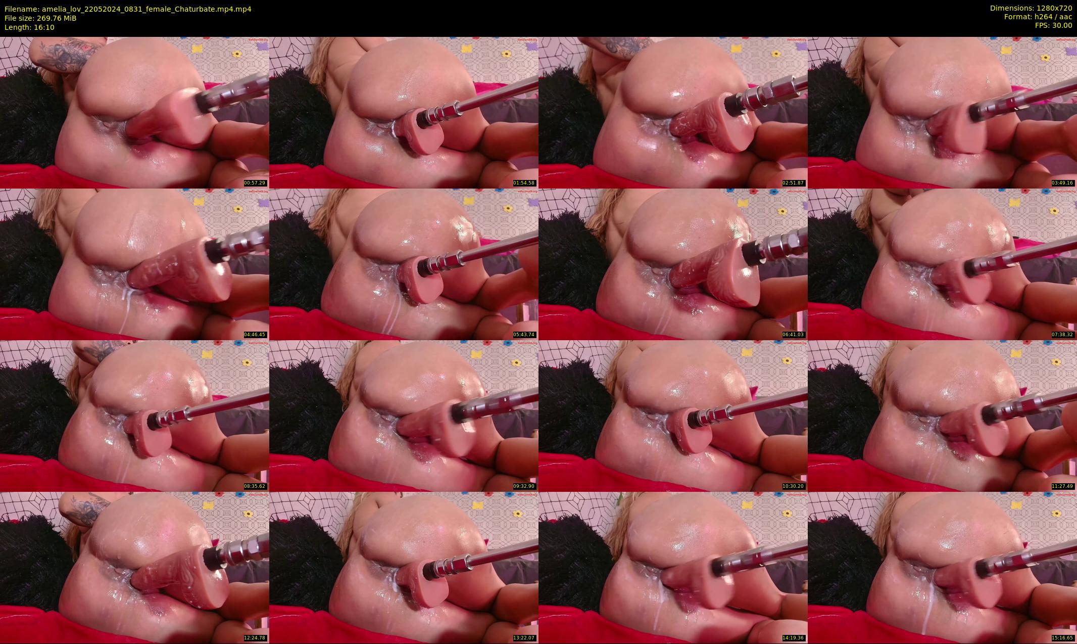 amelia_lov — 17 minute Chaturbate female cam show recording, 720p, May 22, 2024