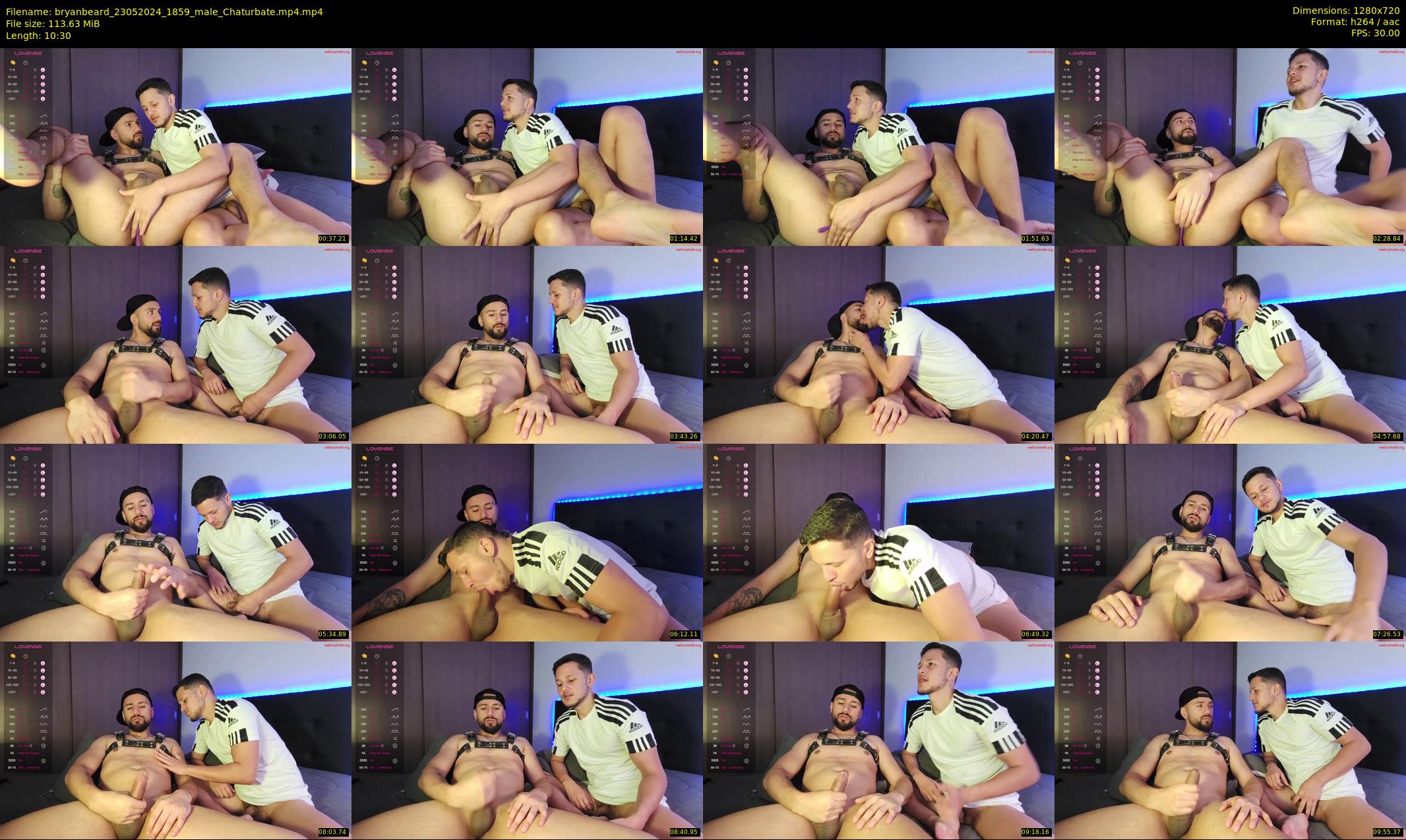 bryanbeard — 11 minute Chaturbate male cam show recording, 720p, May 23, 2024